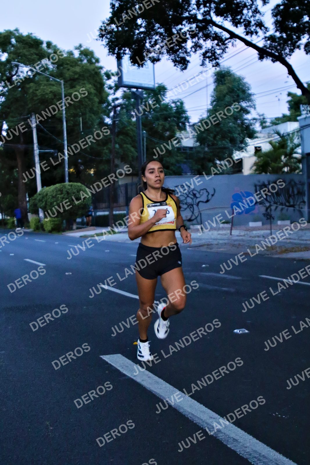 Foto de la X Carrera Leones Negros Red Cola 2026 en Rectoría General de la UdeG, Av. Juárez 976 (meta en Av. Enrique Díaz de León y Pedro Moreno), Guadalajara a las 04:50