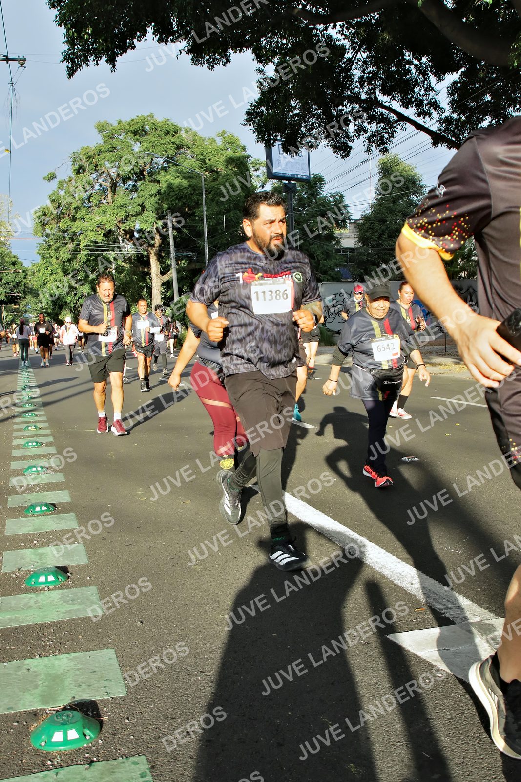 Foto de la X Carrera Leones Negros Red Cola 2026 en Rectoría General de la UdeG, Av. Juárez 976 (meta en Av. Enrique Díaz de León y Pedro Moreno), Guadalajara a las 07:52 · dorsal 11386, 6542