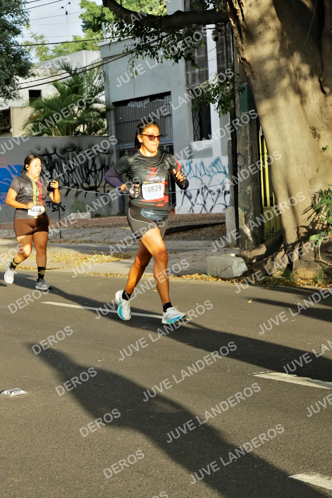 Foto de la X Carrera Leones Negros Red Cola 2026 en Rectoría General de la UdeG, Av. Juárez 976 (meta en Av. Enrique Díaz de León y Pedro Moreno), Guadalajara a las 07:31 · dorsal 10829, 4668