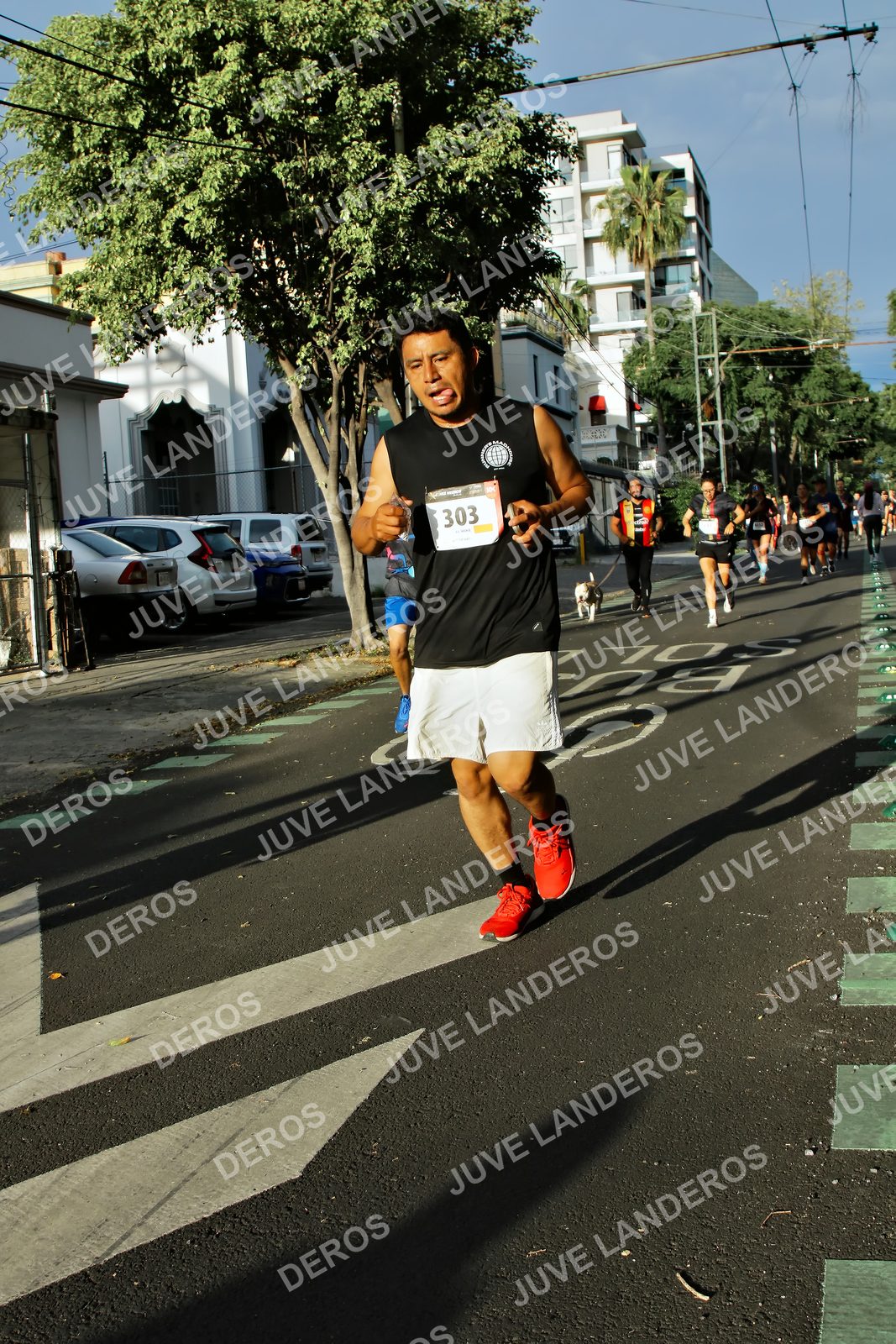 Foto de la X Carrera Leones Negros Red Cola 2026 en Rectoría General de la UdeG, Av. Juárez 976 (meta en Av. Enrique Díaz de León y Pedro Moreno), Guadalajara a las 07:48 · dorsal 303