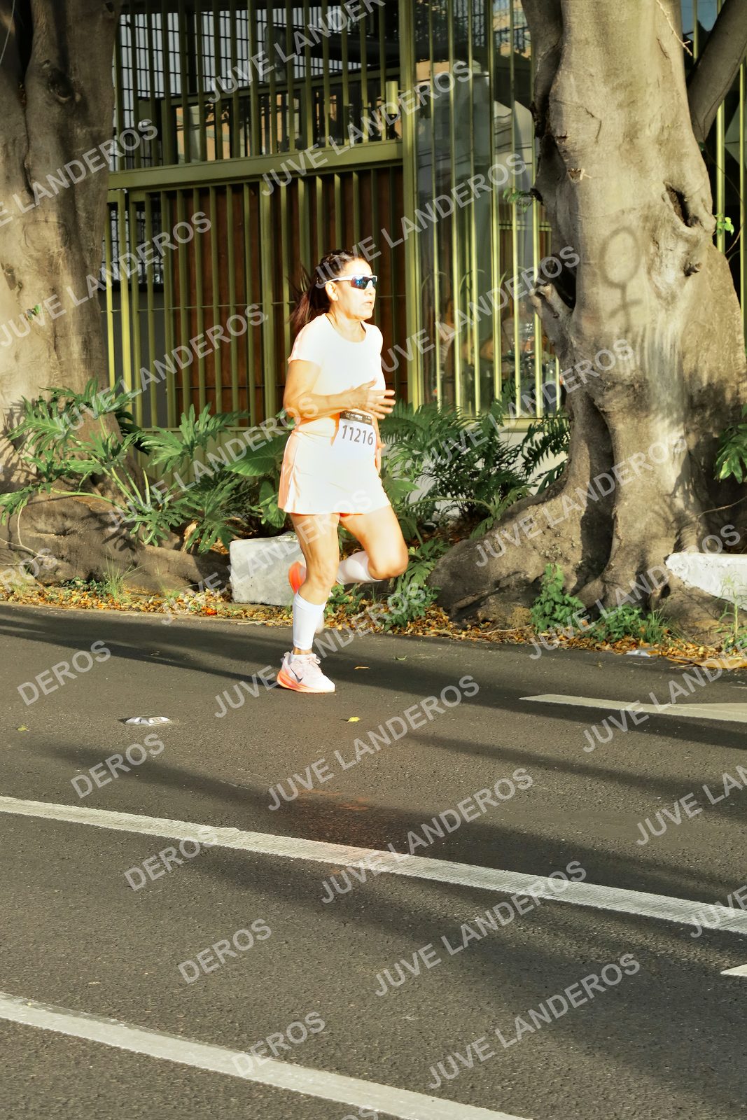 Foto de la X Carrera Leones Negros Red Cola 2026 en Rectoría General de la UdeG, Av. Juárez 976 (meta en Av. Enrique Díaz de León y Pedro Moreno), Guadalajara a las 07:34 · dorsal 11216