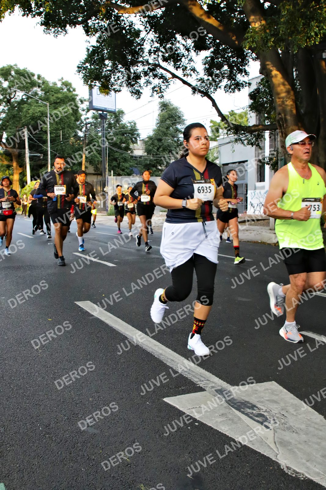 Foto de la X Carrera Leones Negros Red Cola 2026 en Rectoría General de la UdeG, Av. Juárez 976 (meta en Av. Enrique Díaz de León y Pedro Moreno), Guadalajara a las 05:07 · dorsal 6935, 6948, 3520, 753