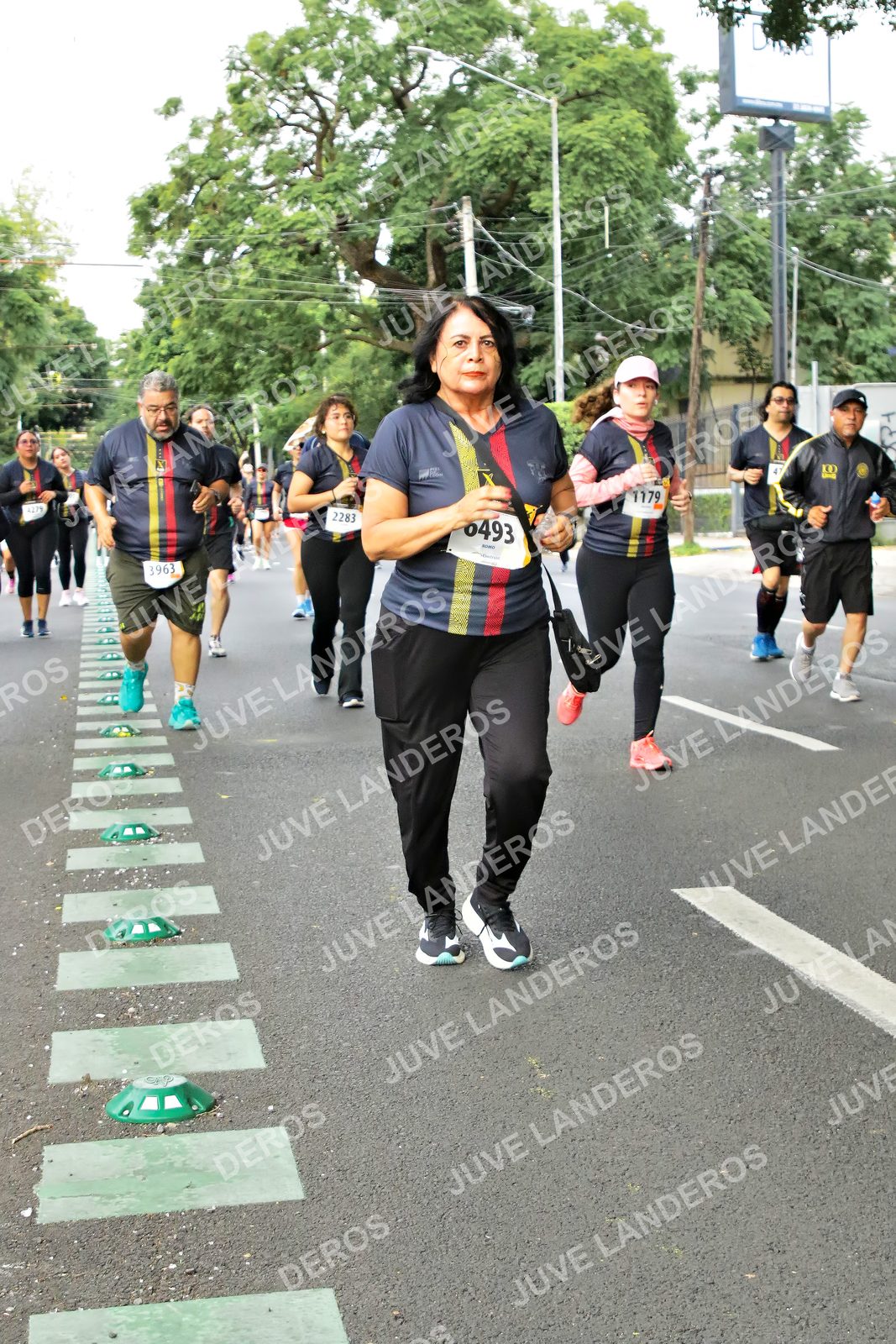 Foto de la X Carrera Leones Negros Red Cola 2026 en Rectoría General de la UdeG, Av. Juárez 976 (meta en Av. Enrique Díaz de León y Pedro Moreno), Guadalajara a las 07:18 · dorsal 2283, 3963, 1179