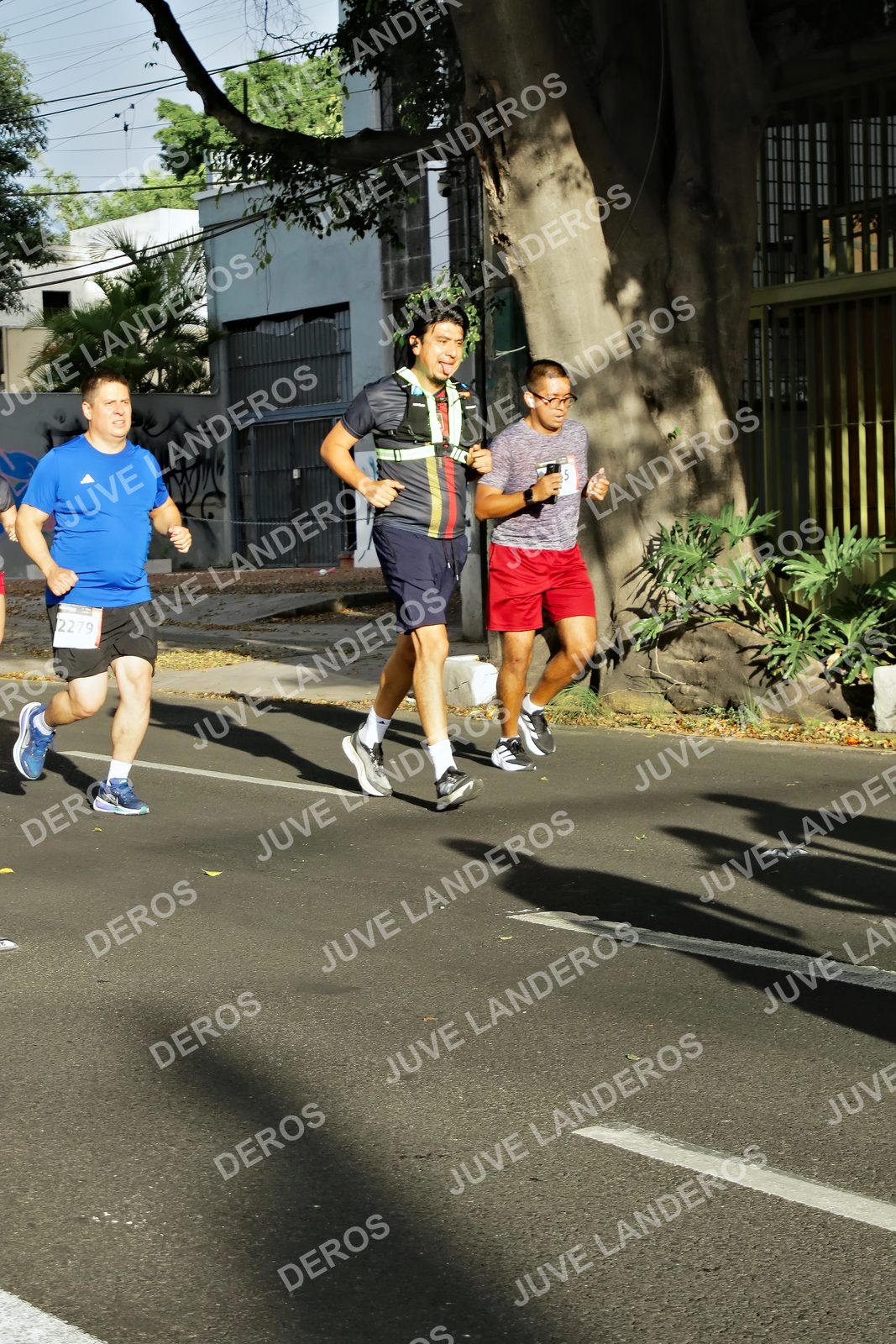 Foto de la X Carrera Leones Negros Red Cola 2026 en Rectoría General de la UdeG, Av. Juárez 976 (meta en Av. Enrique Díaz de León y Pedro Moreno), Guadalajara a las 07:56 · dorsal 2279