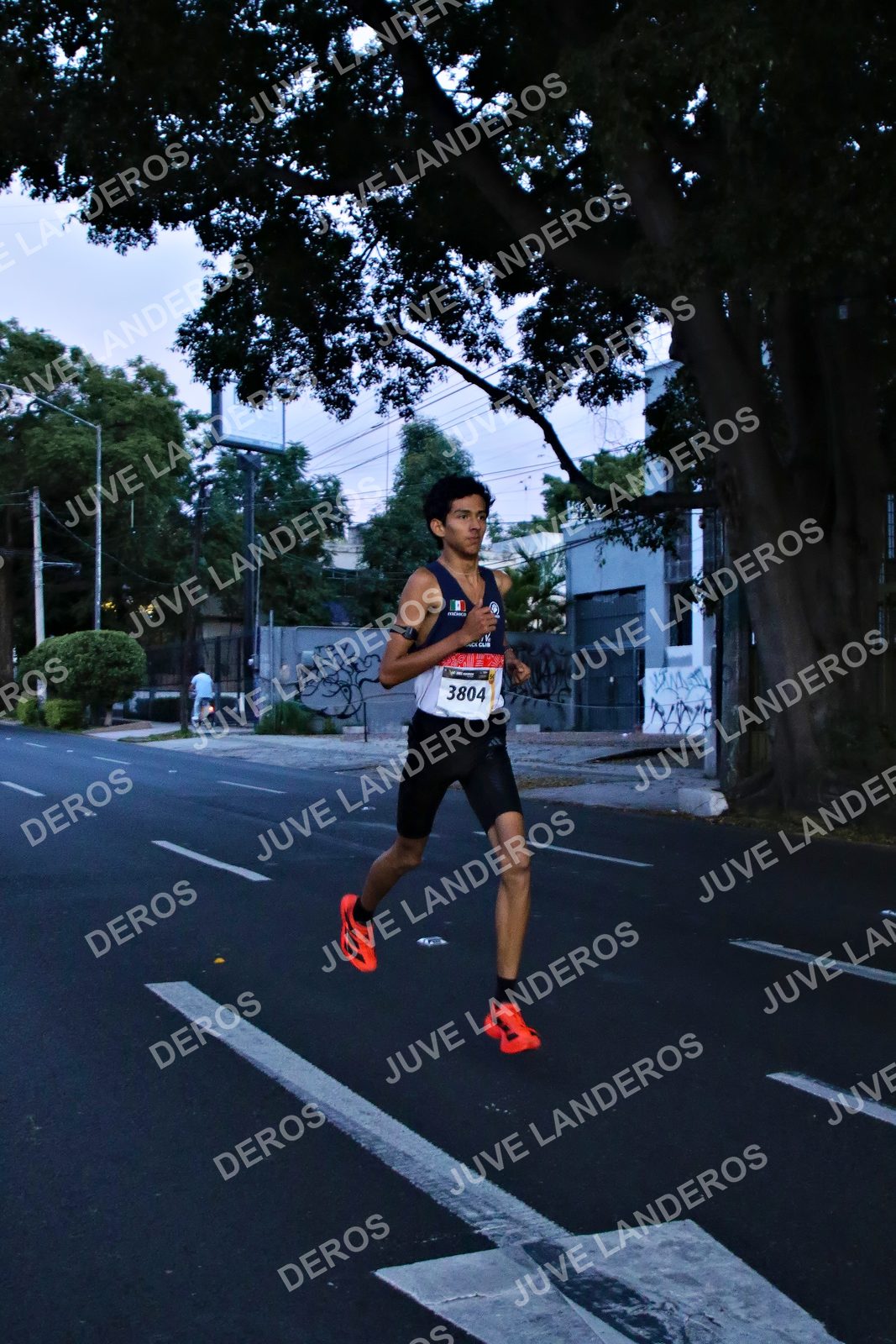 Foto de la X Carrera Leones Negros Red Cola 2026 en Rectoría General de la UdeG, Av. Juárez 976 (meta en Av. Enrique Díaz de León y Pedro Moreno), Guadalajara a las 04:49 · dorsal 3804