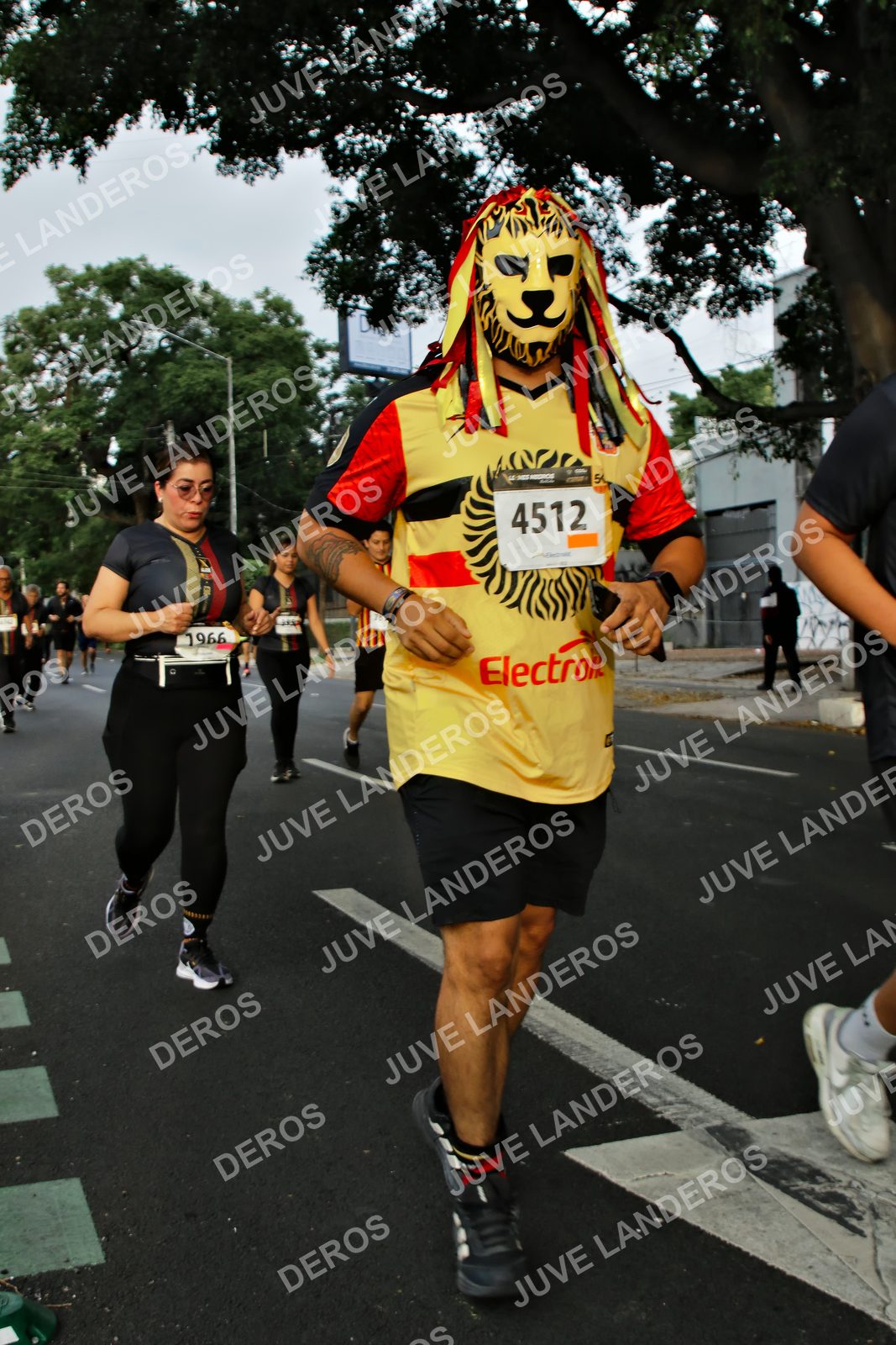 Foto de la X Carrera Leones Negros Red Cola 2026 en Rectoría General de la UdeG, Av. Juárez 976 (meta en Av. Enrique Díaz de León y Pedro Moreno), Guadalajara a las 07:21 · dorsal 4512, 1966