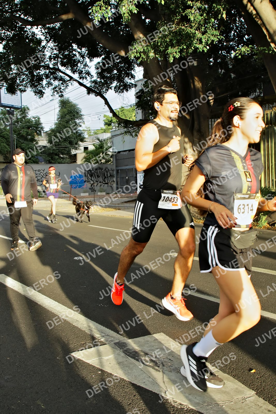Foto de la X Carrera Leones Negros Red Cola 2026 en Rectoría General de la UdeG, Av. Juárez 976 (meta en Av. Enrique Díaz de León y Pedro Moreno), Guadalajara a las 07:29 · dorsal 6314, 10453