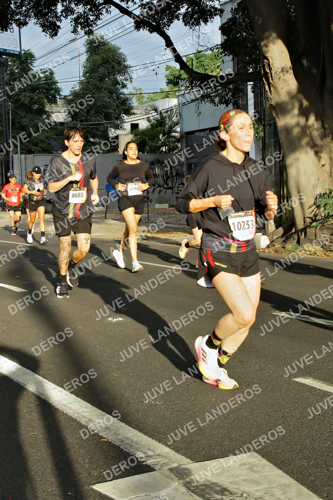 Foto de la X Carrera Leones Negros Red Cola 2026 en Rectoría General de la UdeG, Av. Juárez 976 (meta en Av. Enrique Díaz de León y Pedro Moreno), Guadalajara a las 07:39 · dorsal 8685, 10253, 13276, 894
