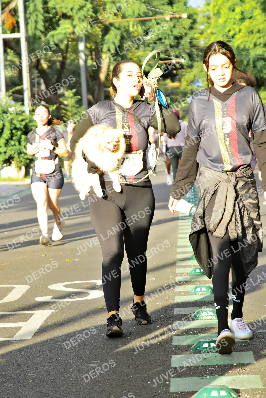 Foto de la X Carrera Leones Negros Red Cola 2026 en Rectoría General de la UdeG, Av. Juárez 976 (meta en Av. Enrique Díaz de León y Pedro Moreno), Guadalajara a las 07:45