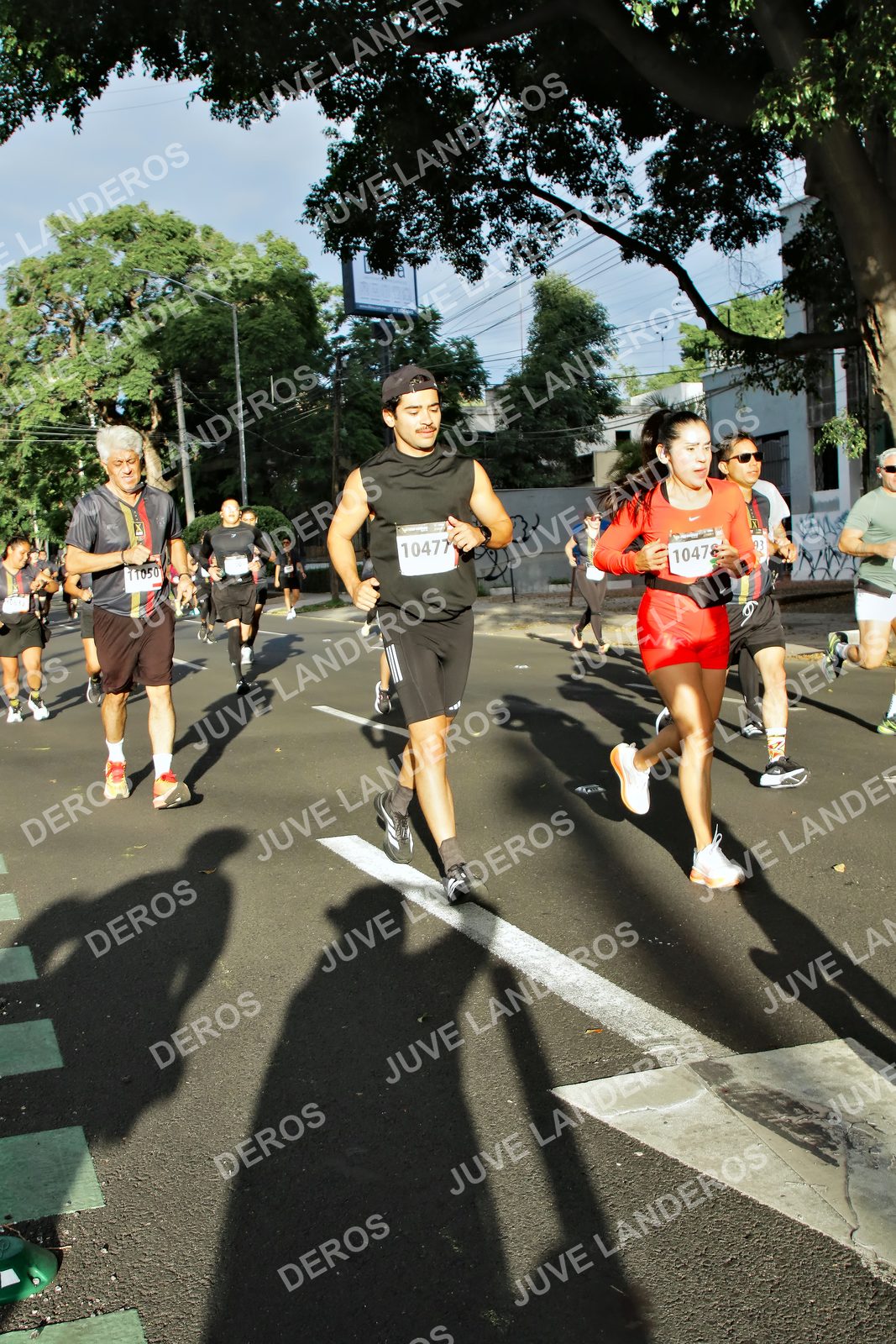 Foto de la X Carrera Leones Negros Red Cola 2026 en Rectoría General de la UdeG, Av. Juárez 976 (meta en Av. Enrique Díaz de León y Pedro Moreno), Guadalajara a las 07:48 · dorsal 10477, 10478