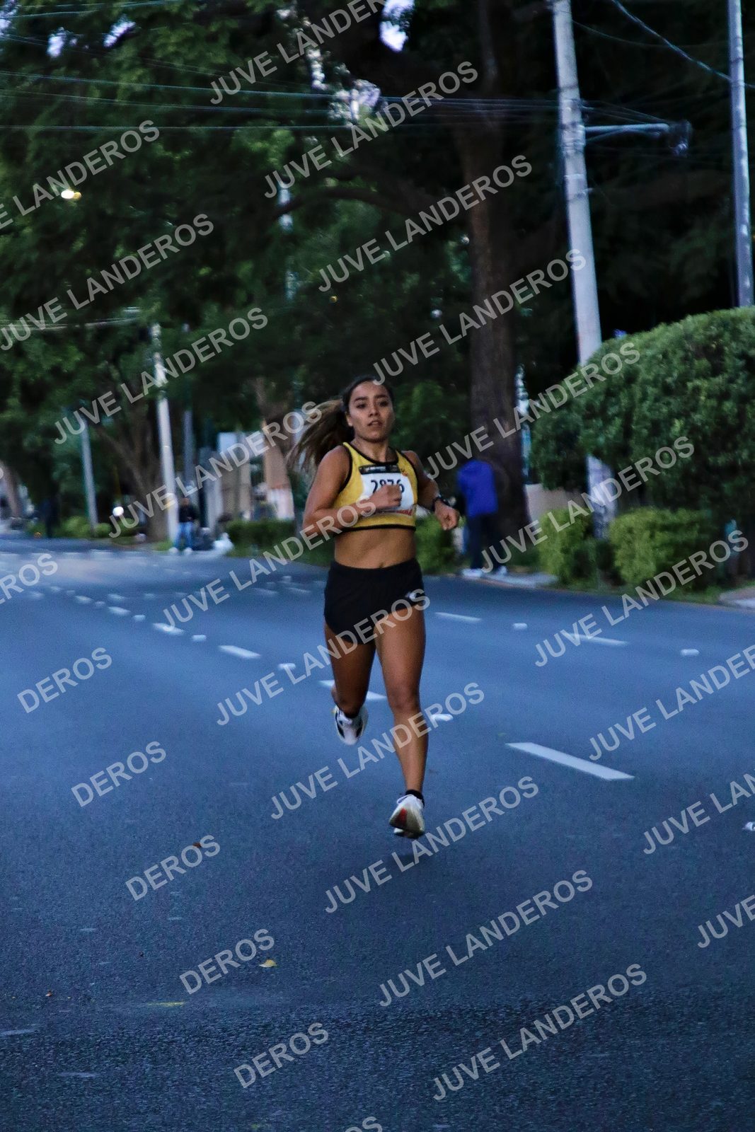 Foto de la X Carrera Leones Negros Red Cola 2026 en Rectoría General de la UdeG, Av. Juárez 976 (meta en Av. Enrique Díaz de León y Pedro Moreno), Guadalajara a las 04:50 · dorsal 2876