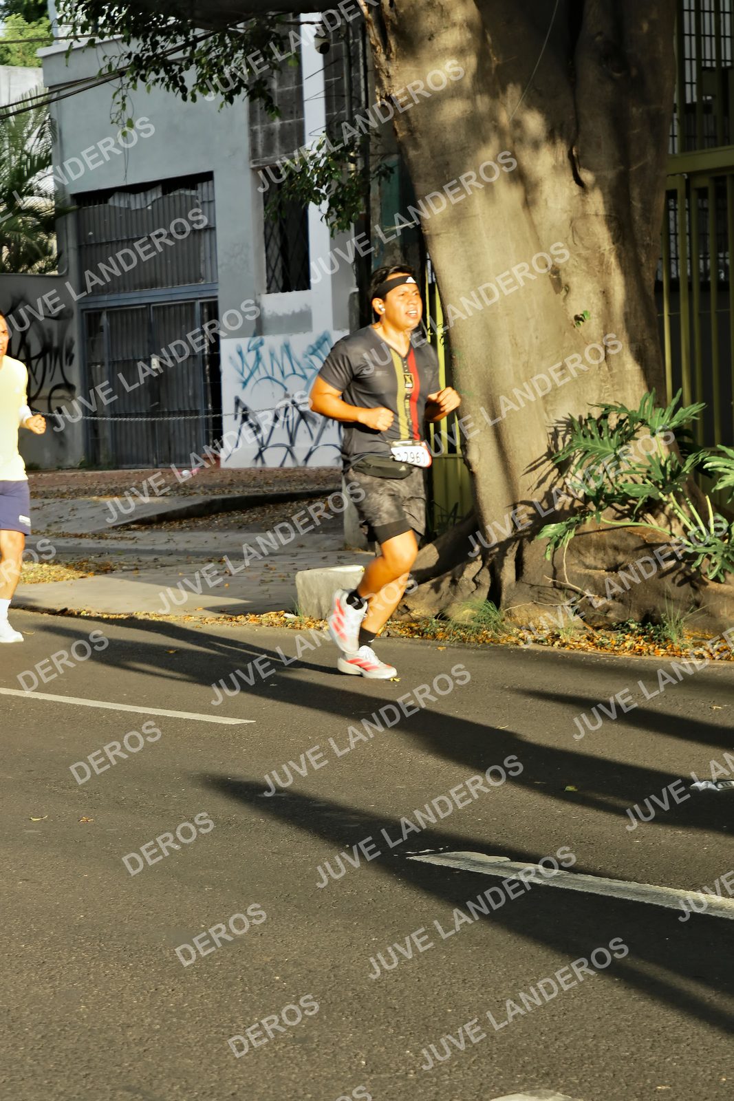 Foto de la X Carrera Leones Negros Red Cola 2026 en Rectoría General de la UdeG, Av. Juárez 976 (meta en Av. Enrique Díaz de León y Pedro Moreno), Guadalajara a las 07:30