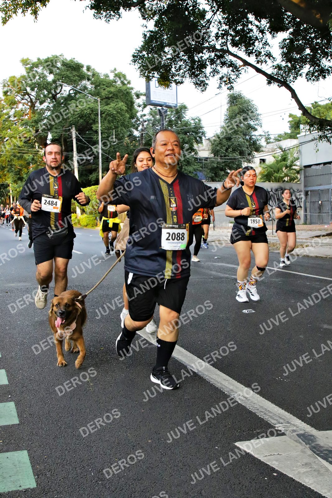 Foto de la X Carrera Leones Negros Red Cola 2026 en Rectoría General de la UdeG, Av. Juárez 976 (meta en Av. Enrique Díaz de León y Pedro Moreno), Guadalajara a las 05:07 · dorsal 2088, 1858, 2484, 449
