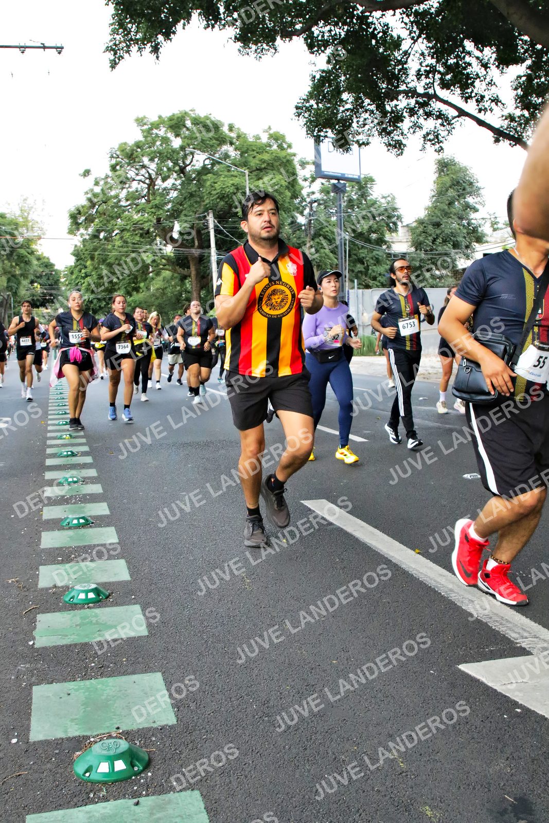 Foto de la X Carrera Leones Negros Red Cola 2026 en Rectoría General de la UdeG, Av. Juárez 976 (meta en Av. Enrique Díaz de León y Pedro Moreno), Guadalajara a las 05:13 · dorsal 6753, 7364, 1555