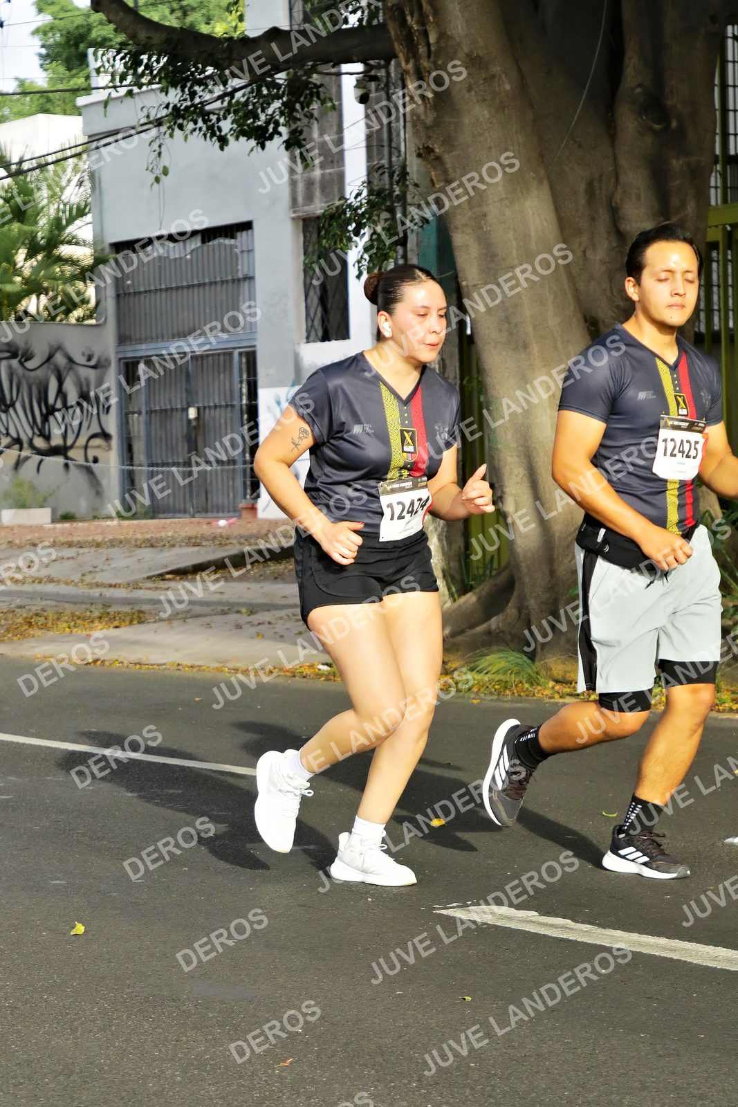 Foto de la X Carrera Leones Negros Red Cola 2026 en Rectoría General de la UdeG, Av. Juárez 976 (meta en Av. Enrique Díaz de León y Pedro Moreno), Guadalajara a las 08:12 · dorsal 12425, 12424