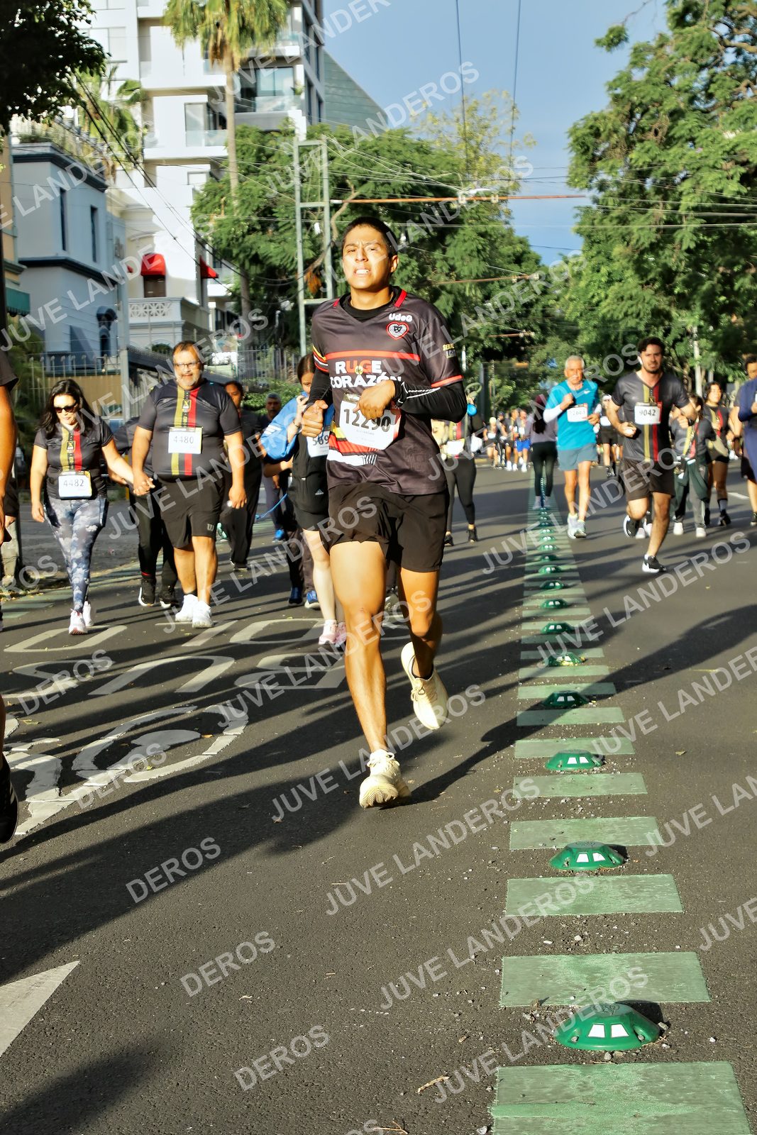 Foto de la X Carrera Leones Negros Red Cola 2026 en Rectoría General de la UdeG, Av. Juárez 976 (meta en Av. Enrique Díaz de León y Pedro Moreno), Guadalajara a las 07:45 · dorsal 4482, 12290, 1042, 569