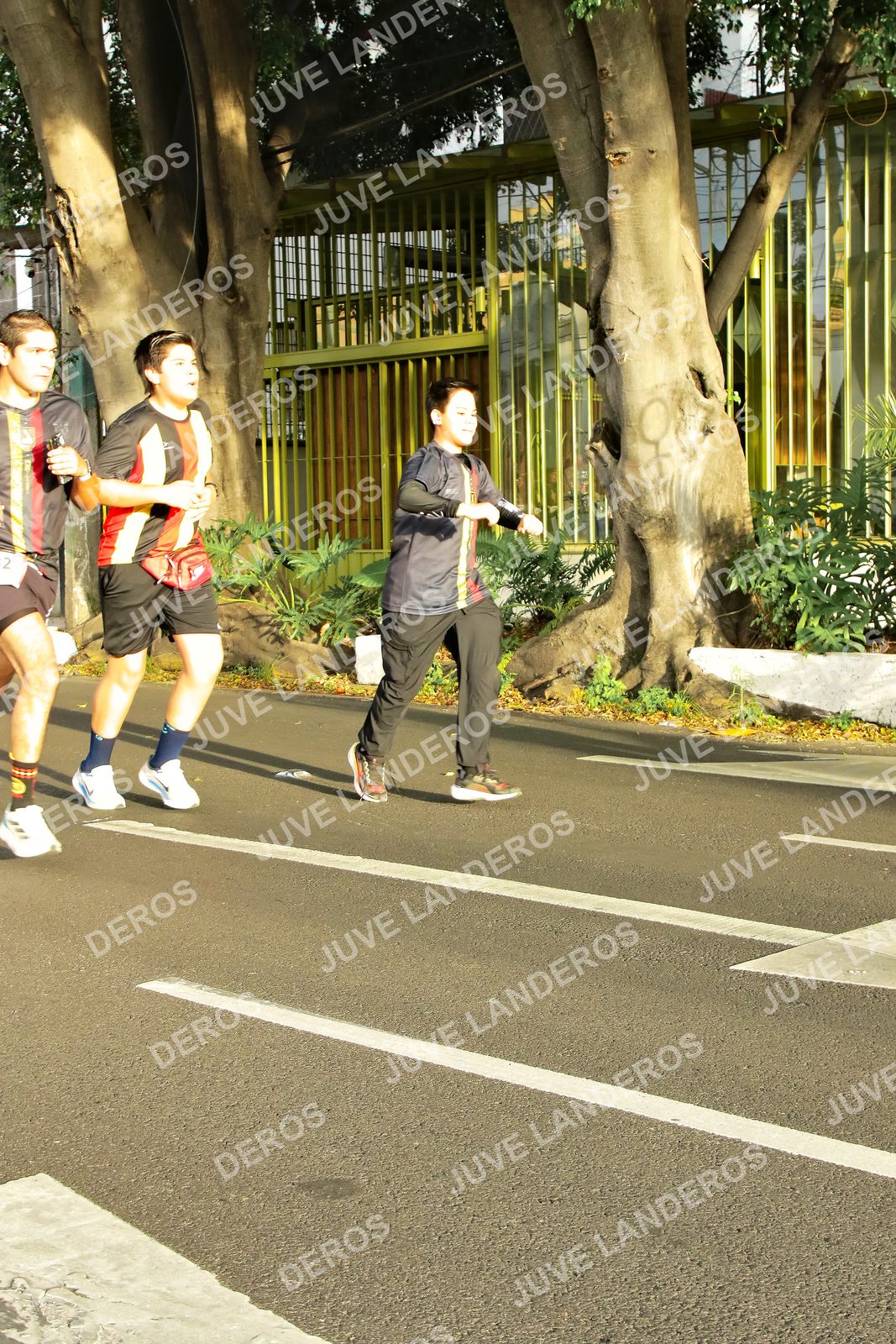 Foto de la X Carrera Leones Negros Red Cola 2026 en Rectoría General de la UdeG, Av. Juárez 976 (meta en Av. Enrique Díaz de León y Pedro Moreno), Guadalajara a las 07:34