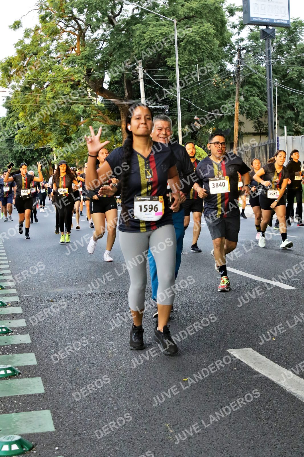 Foto de la X Carrera Leones Negros Red Cola 2026 en Rectoría General de la UdeG, Av. Juárez 976 (meta en Av. Enrique Díaz de León y Pedro Moreno), Guadalajara a las 05:08 · dorsal 1596, 3840, 5621, 5825