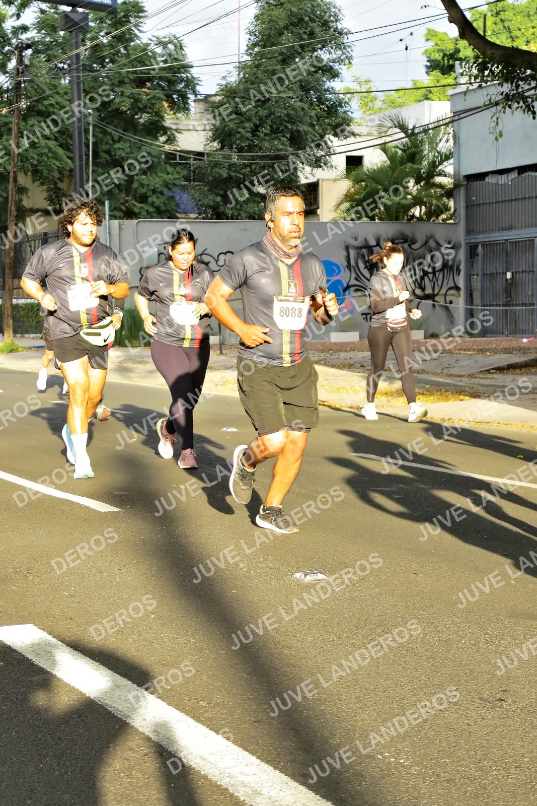 Foto de la X Carrera Leones Negros Red Cola 2026 en Rectoría General de la UdeG, Av. Juárez 976 (meta en Av. Enrique Díaz de León y Pedro Moreno), Guadalajara a las 07:41 · dorsal 8088