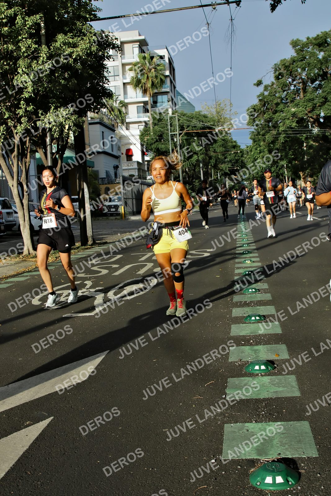 Foto de la X Carrera Leones Negros Red Cola 2026 en Rectoría General de la UdeG, Av. Juárez 976 (meta en Av. Enrique Díaz de León y Pedro Moreno), Guadalajara a las 08:00 · dorsal 404, 9018, 8357