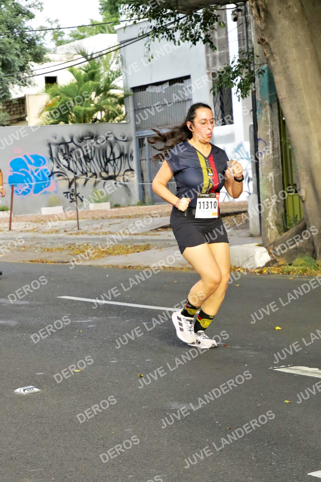 Foto de la X Carrera Leones Negros Red Cola 2026 en Rectoría General de la UdeG, Av. Juárez 976 (meta en Av. Enrique Díaz de León y Pedro Moreno), Guadalajara a las 08:09 · dorsal 11310