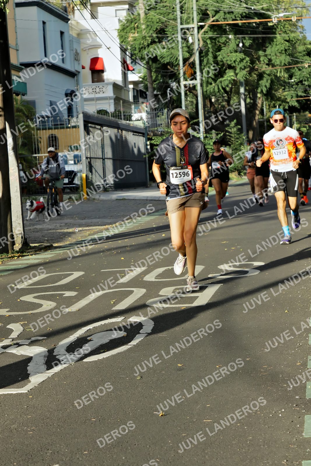 Foto de la X Carrera Leones Negros Red Cola 2026 en Rectoría General de la UdeG, Av. Juárez 976 (meta en Av. Enrique Díaz de León y Pedro Moreno), Guadalajara a las 07:52 · dorsal 12596, 12932
