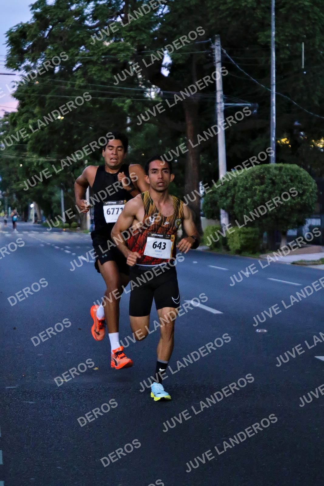 Foto de la X Carrera Leones Negros Red Cola 2026 en Rectoría General de la UdeG, Av. Juárez 976 (meta en Av. Enrique Díaz de León y Pedro Moreno), Guadalajara a las 04:48 · dorsal 6771