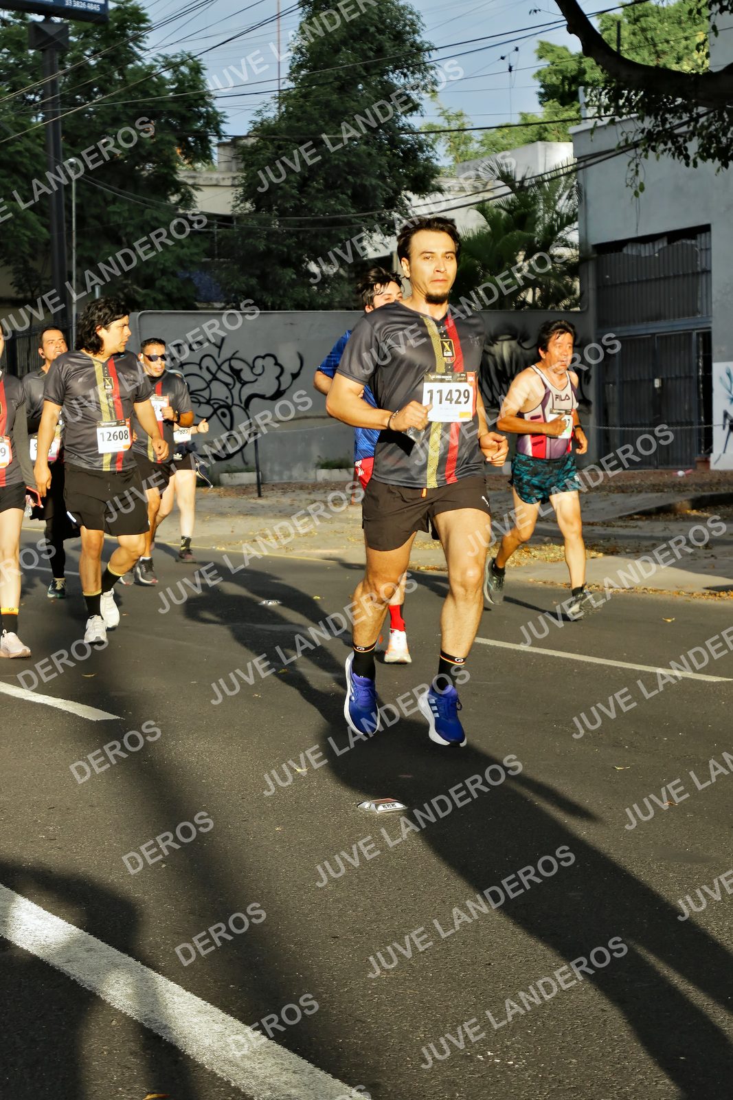 Foto de la X Carrera Leones Negros Red Cola 2026 en Rectoría General de la UdeG, Av. Juárez 976 (meta en Av. Enrique Díaz de León y Pedro Moreno), Guadalajara a las 07:37 · dorsal 11429, 12608