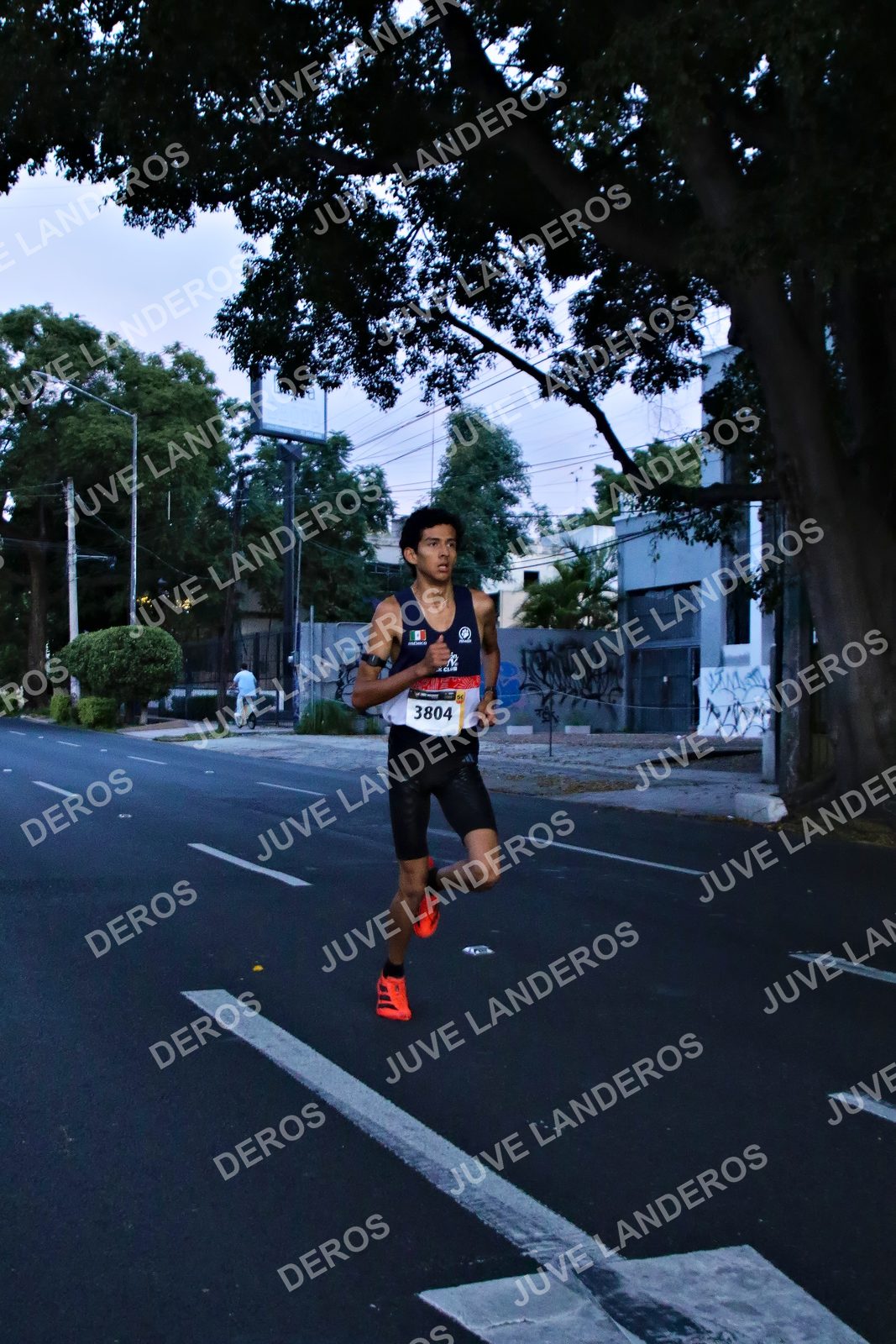 Foto de la X Carrera Leones Negros Red Cola 2026 en Rectoría General de la UdeG, Av. Juárez 976 (meta en Av. Enrique Díaz de León y Pedro Moreno), Guadalajara a las 04:49 · dorsal 3804