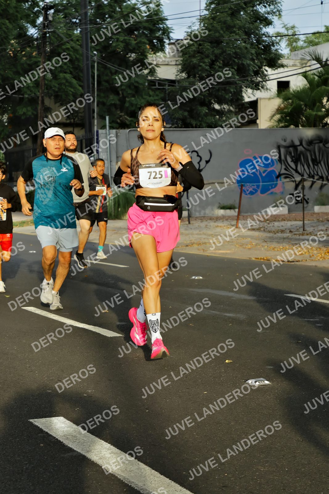 Foto de la X Carrera Leones Negros Red Cola 2026 en Rectoría General de la UdeG, Av. Juárez 976 (meta en Av. Enrique Díaz de León y Pedro Moreno), Guadalajara a las 07:33 · dorsal 725