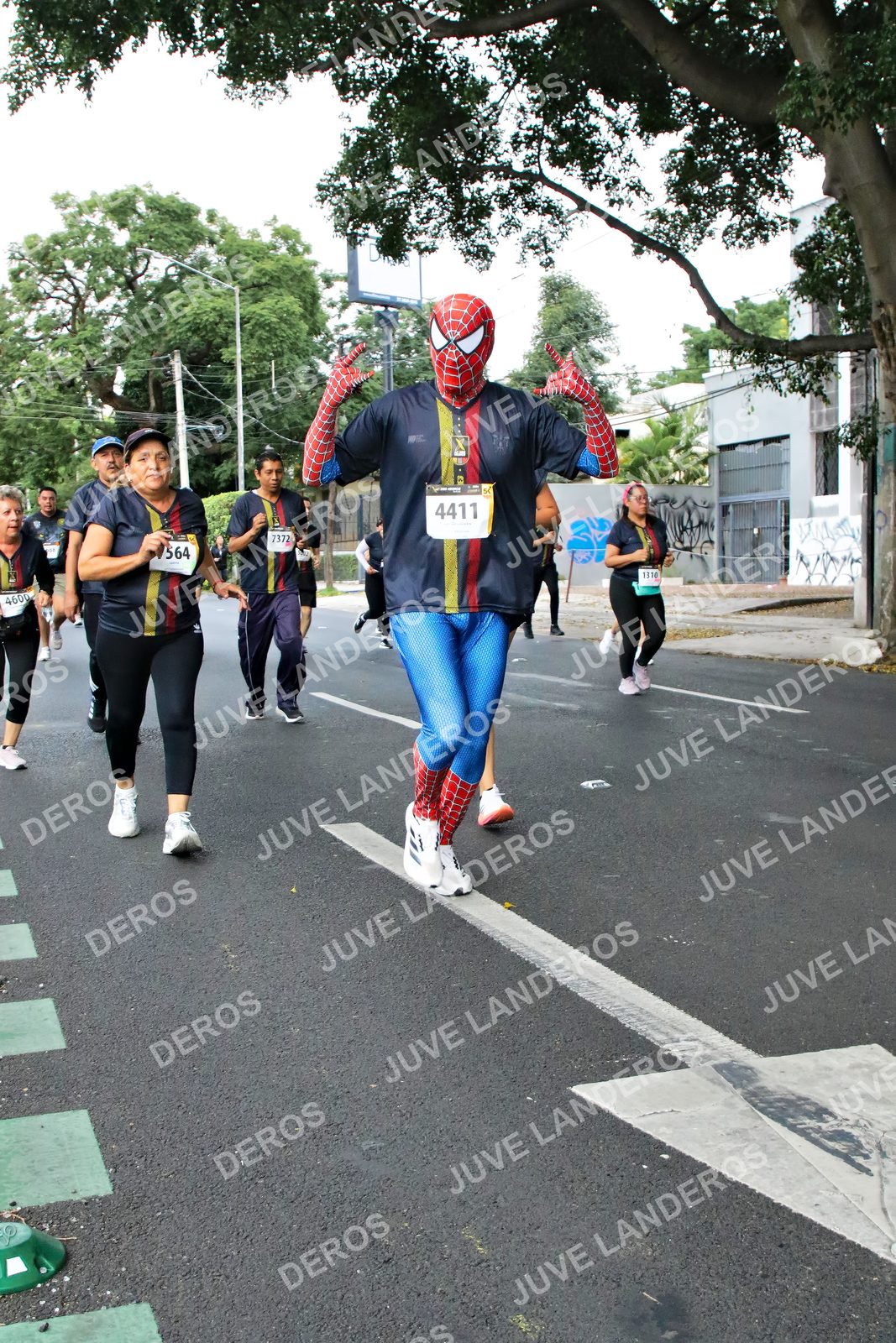 Foto de la X Carrera Leones Negros Red Cola 2026 en Rectoría General de la UdeG, Av. Juárez 976 (meta en Av. Enrique Díaz de León y Pedro Moreno), Guadalajara a las 05:13 · dorsal 4411, 564, 7372, 4600