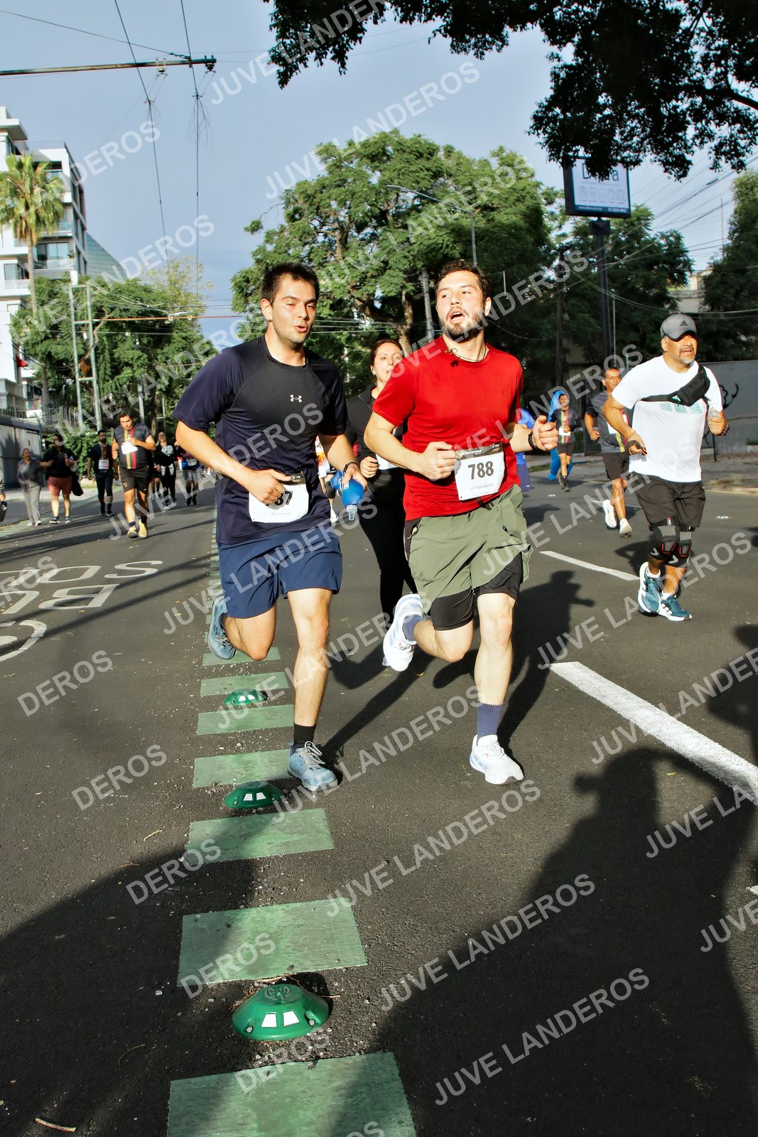Foto de la X Carrera Leones Negros Red Cola 2026 en Rectoría General de la UdeG, Av. Juárez 976 (meta en Av. Enrique Díaz de León y Pedro Moreno), Guadalajara a las 07:58 · dorsal 788, 87