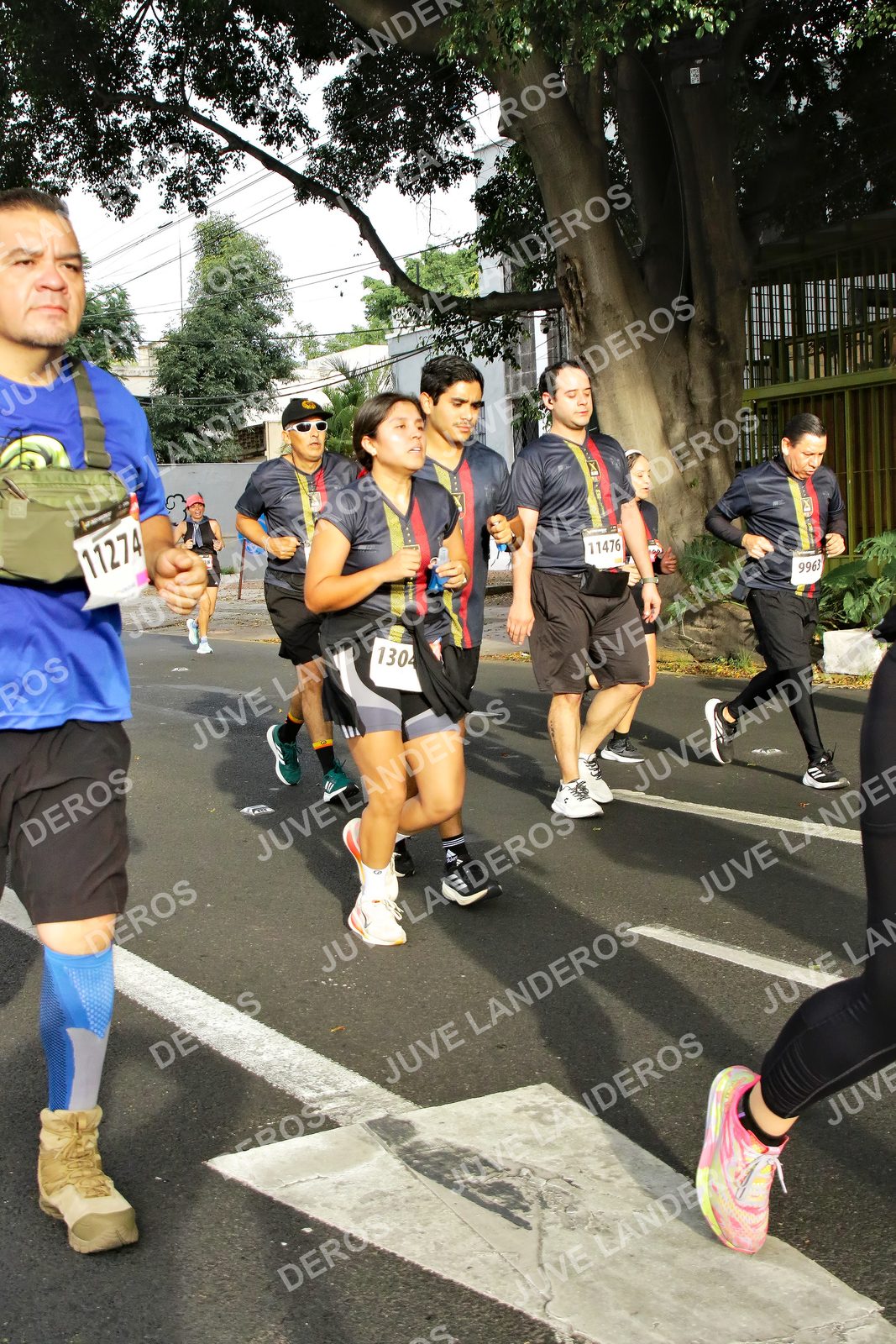 Foto de la X Carrera Leones Negros Red Cola 2026 en Rectoría General de la UdeG, Av. Juárez 976 (meta en Av. Enrique Díaz de León y Pedro Moreno), Guadalajara a las 08:04 · dorsal 11274, 11476, 9963, 1304