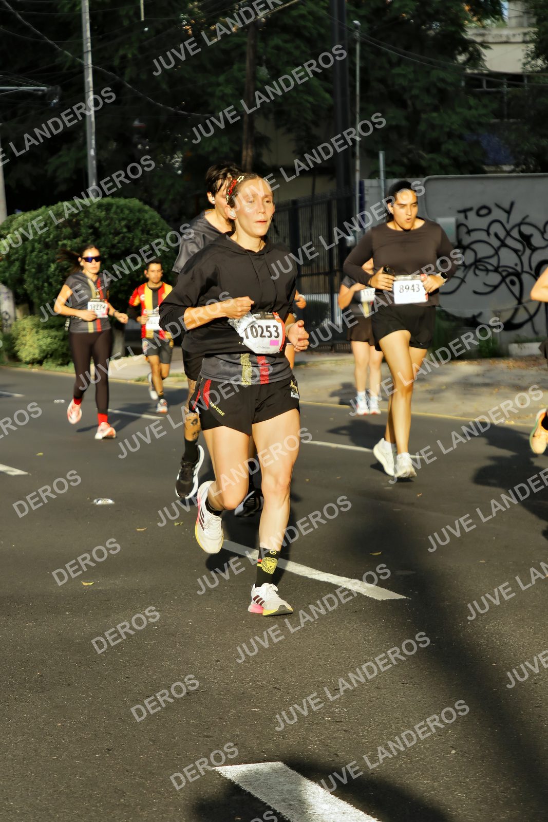 Foto de la X Carrera Leones Negros Red Cola 2026 en Rectoría General de la UdeG, Av. Juárez 976 (meta en Av. Enrique Díaz de León y Pedro Moreno), Guadalajara a las 07:39 · dorsal 8943, 13274, 10253