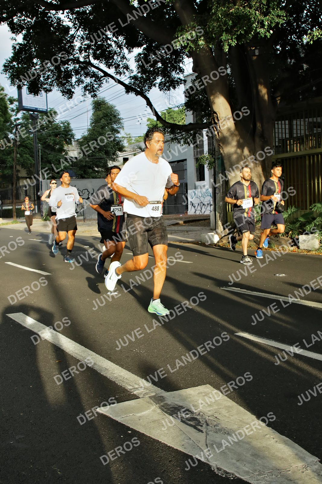 Foto de la X Carrera Leones Negros Red Cola 2026 en Rectoría General de la UdeG, Av. Juárez 976 (meta en Av. Enrique Díaz de León y Pedro Moreno), Guadalajara a las 07:35 · dorsal 8752
