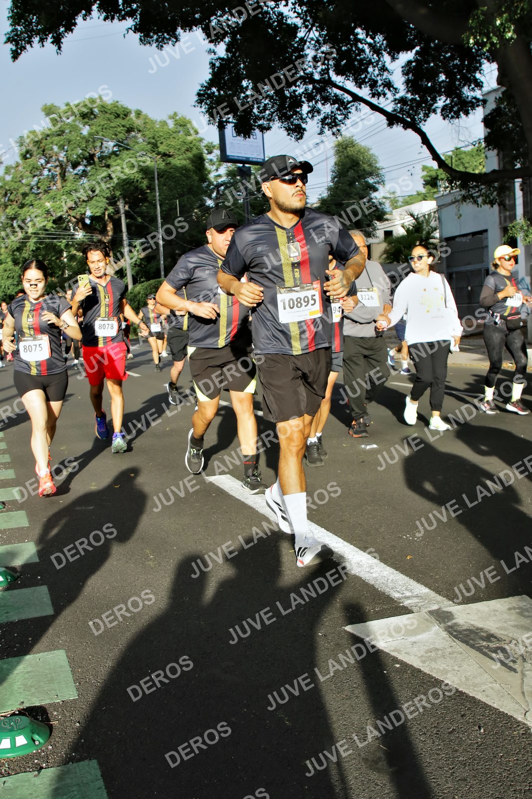 Foto de la X Carrera Leones Negros Red Cola 2026 en Rectoría General de la UdeG, Av. Juárez 976 (meta en Av. Enrique Díaz de León y Pedro Moreno), Guadalajara a las 07:58 · dorsal 8075, 8078, 10895, 3226