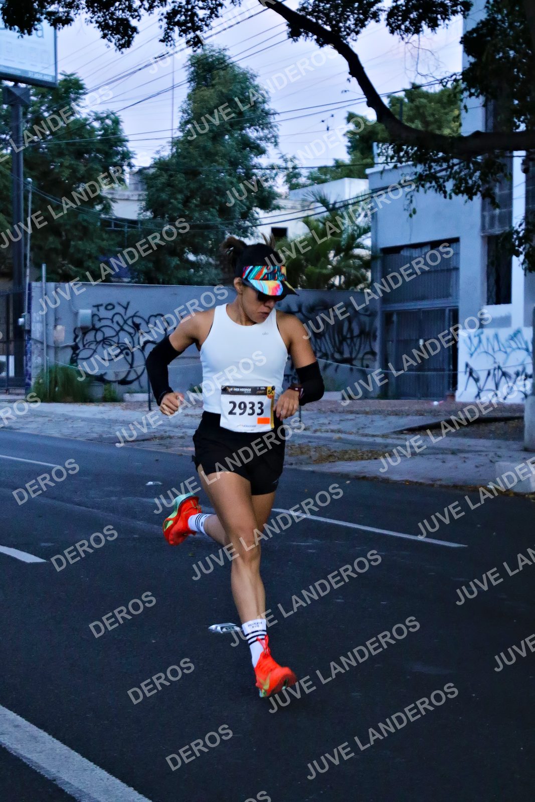 Foto de la X Carrera Leones Negros Red Cola 2026 en Rectoría General de la UdeG, Av. Juárez 976 (meta en Av. Enrique Díaz de León y Pedro Moreno), Guadalajara a las 04:51 · dorsal 2933