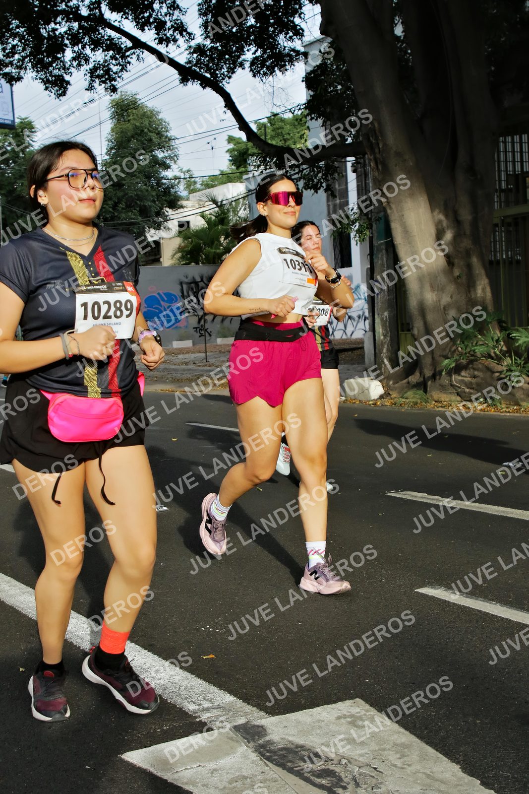 Foto de la X Carrera Leones Negros Red Cola 2026 en Rectoría General de la UdeG, Av. Juárez 976 (meta en Av. Enrique Díaz de León y Pedro Moreno), Guadalajara a las 08:02 · dorsal 10289, 10311