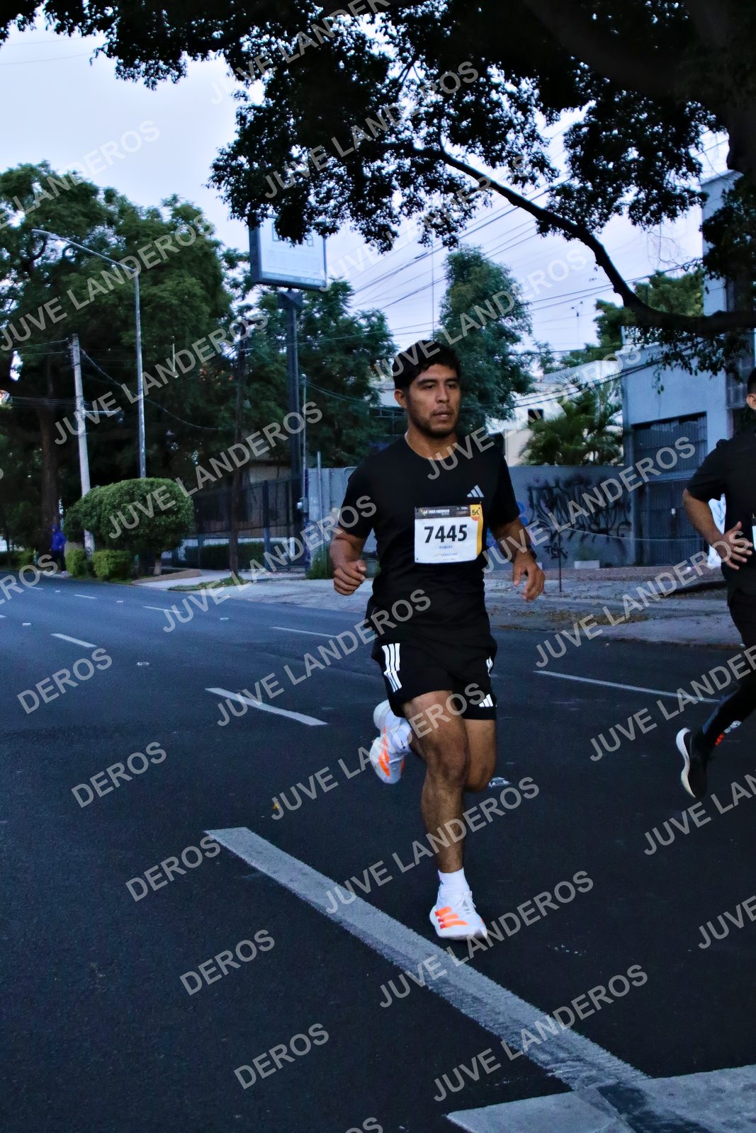 Foto de la X Carrera Leones Negros Red Cola 2026 en Rectoría General de la UdeG, Av. Juárez 976 (meta en Av. Enrique Díaz de León y Pedro Moreno), Guadalajara a las 04:51 · dorsal 7445