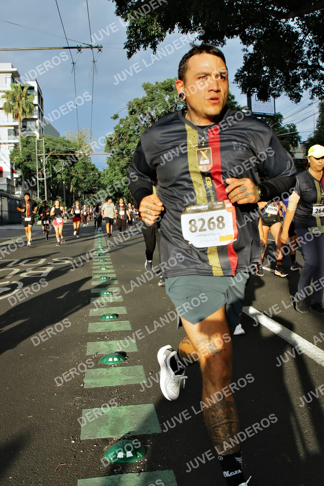 Foto de la X Carrera Leones Negros Red Cola 2026 en Rectoría General de la UdeG, Av. Juárez 976 (meta en Av. Enrique Díaz de León y Pedro Moreno), Guadalajara a las 07:42 · dorsal 8268, 264, 10578