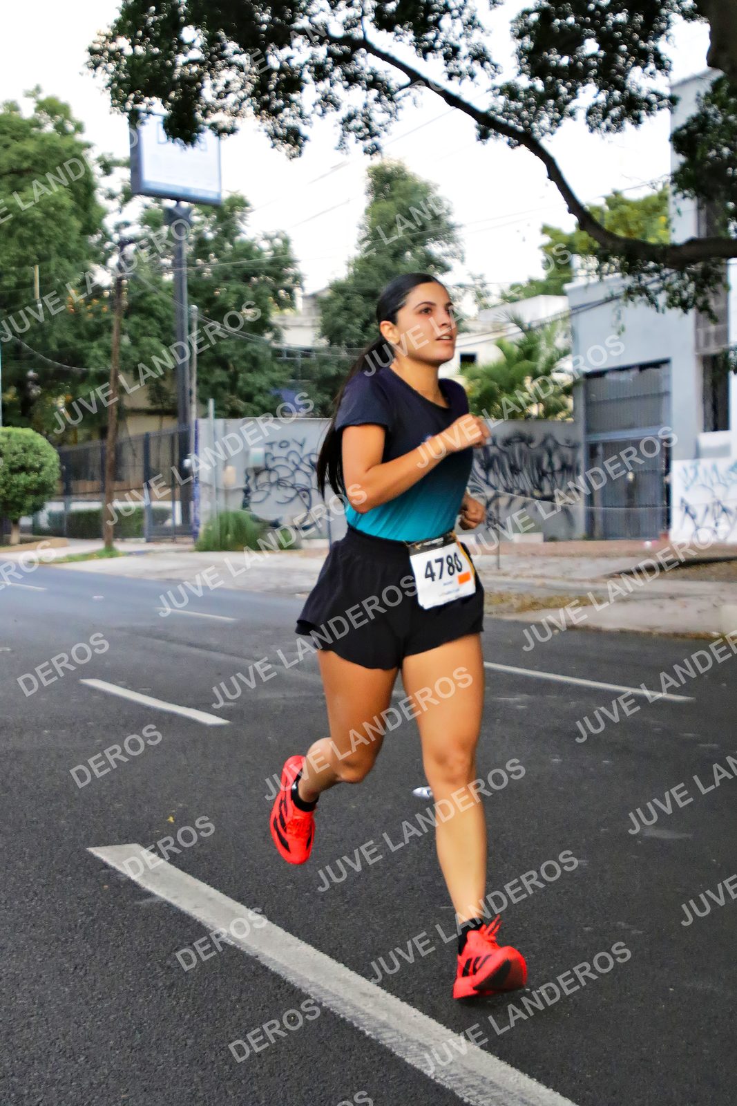 Foto de la X Carrera Leones Negros Red Cola 2026 en Rectoría General de la UdeG, Av. Juárez 976 (meta en Av. Enrique Díaz de León y Pedro Moreno), Guadalajara a las 04:58 · dorsal 4780