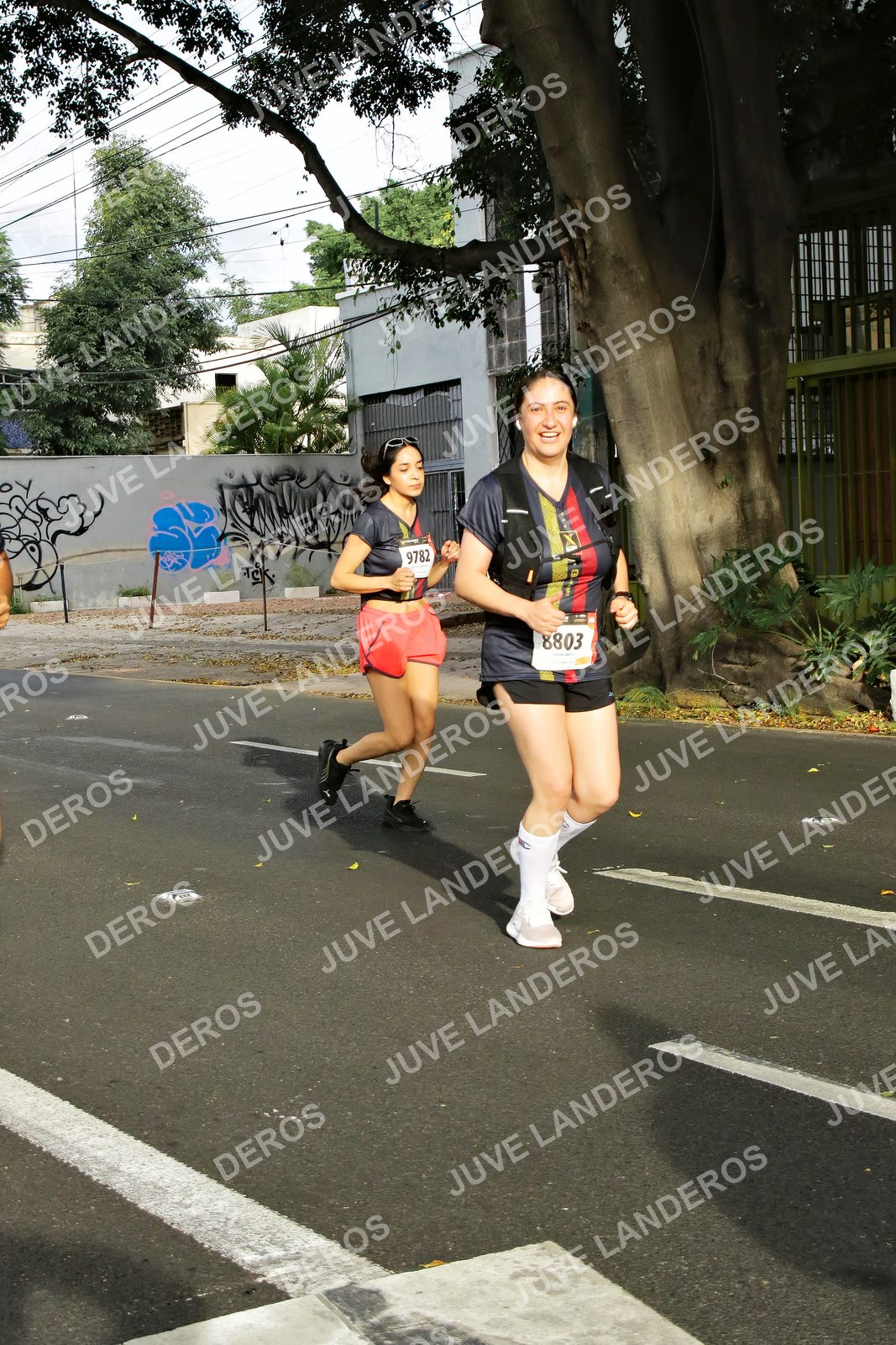 Foto de la X Carrera Leones Negros Red Cola 2026 en Rectoría General de la UdeG, Av. Juárez 976 (meta en Av. Enrique Díaz de León y Pedro Moreno), Guadalajara a las 08:11 · dorsal 8803, 9782