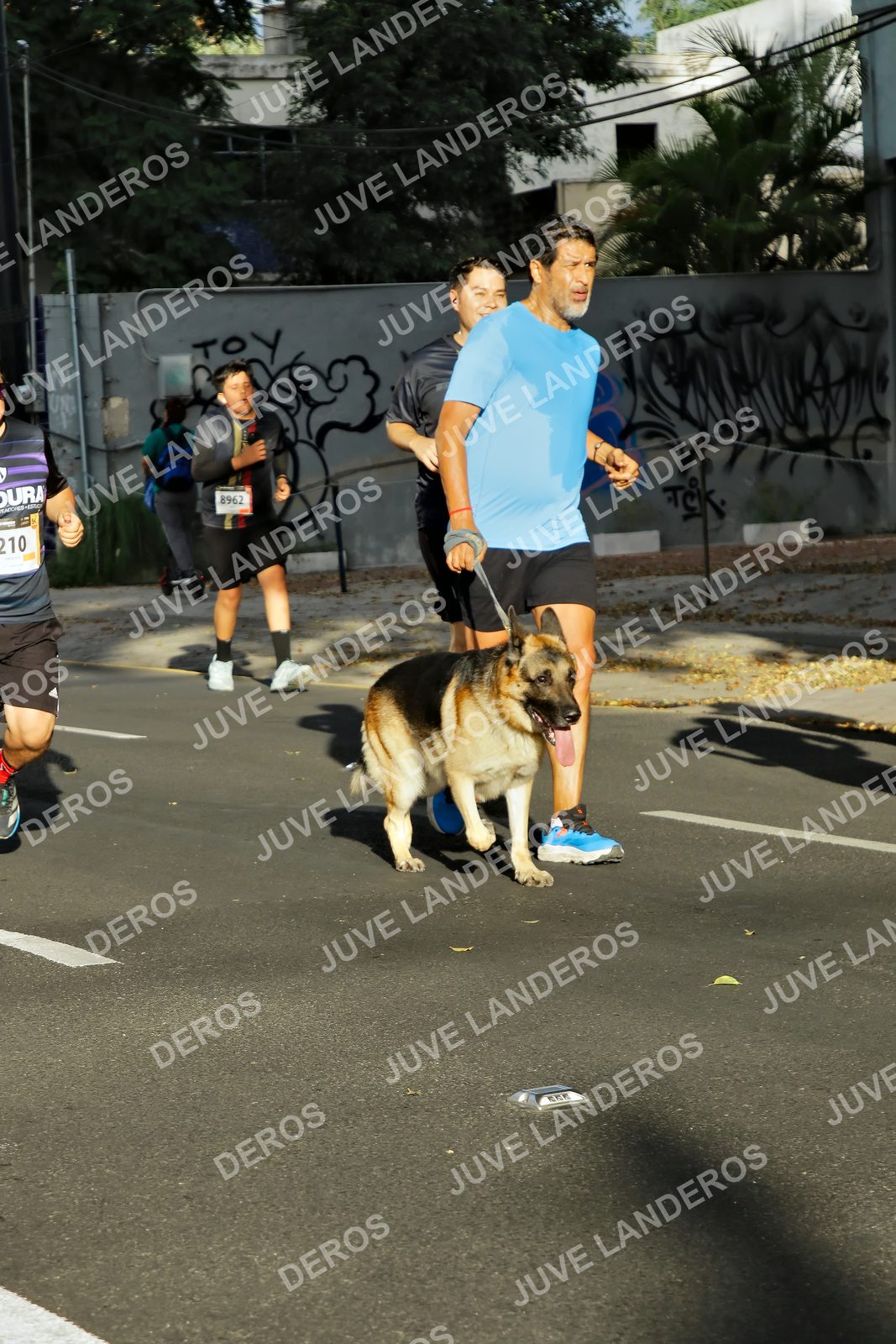 Foto de la X Carrera Leones Negros Red Cola 2026 en Rectoría General de la UdeG, Av. Juárez 976 (meta en Av. Enrique Díaz de León y Pedro Moreno), Guadalajara a las 07:54 · dorsal 8962, 210
