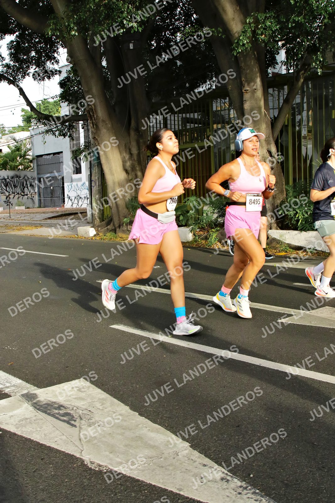 Foto de la X Carrera Leones Negros Red Cola 2026 en Rectoría General de la UdeG, Av. Juárez 976 (meta en Av. Enrique Díaz de León y Pedro Moreno), Guadalajara a las 08:04 · dorsal 8495, 7946