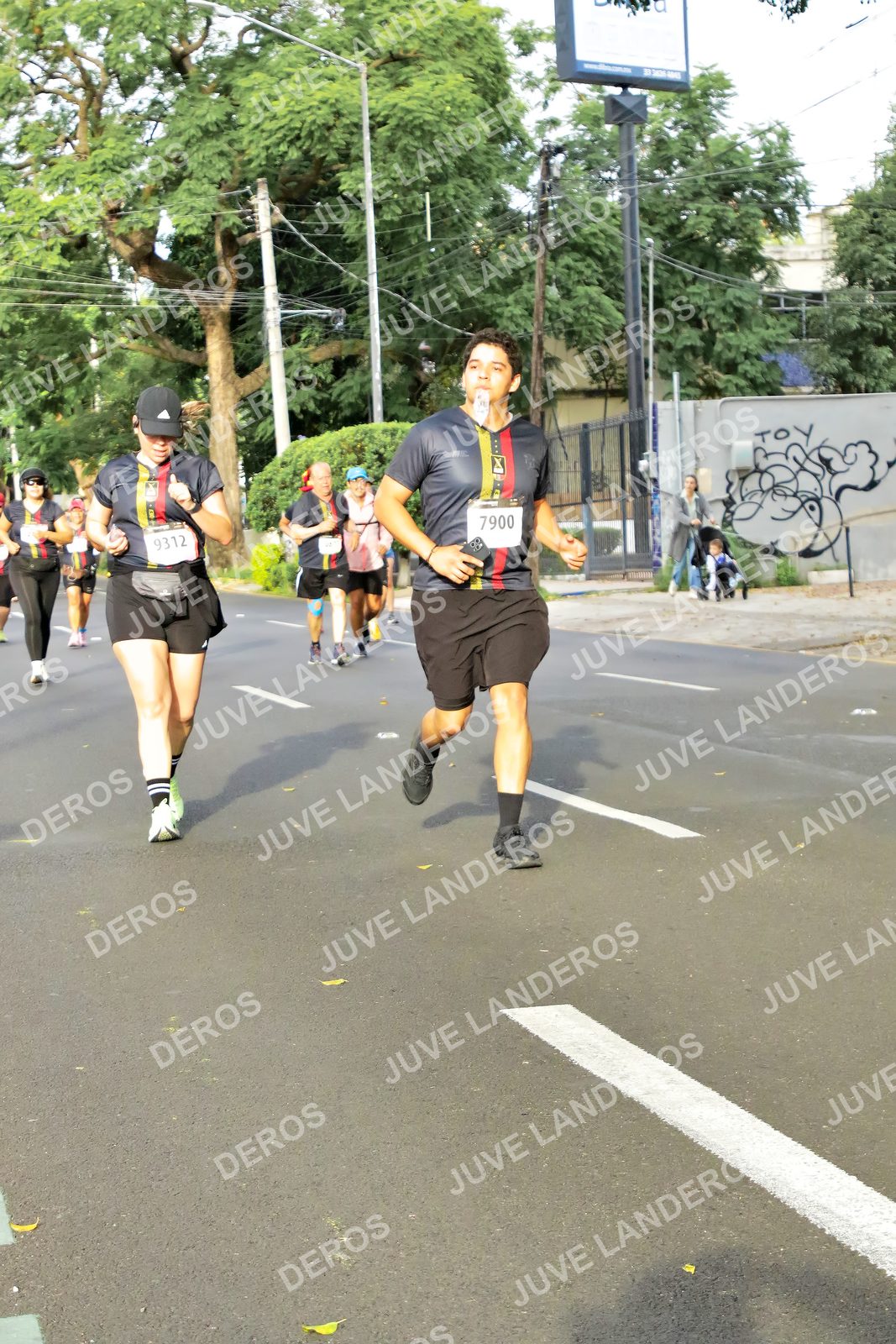 Foto de la X Carrera Leones Negros Red Cola 2026 en Rectoría General de la UdeG, Av. Juárez 976 (meta en Av. Enrique Díaz de León y Pedro Moreno), Guadalajara a las 08:04 · dorsal 7900, 9312