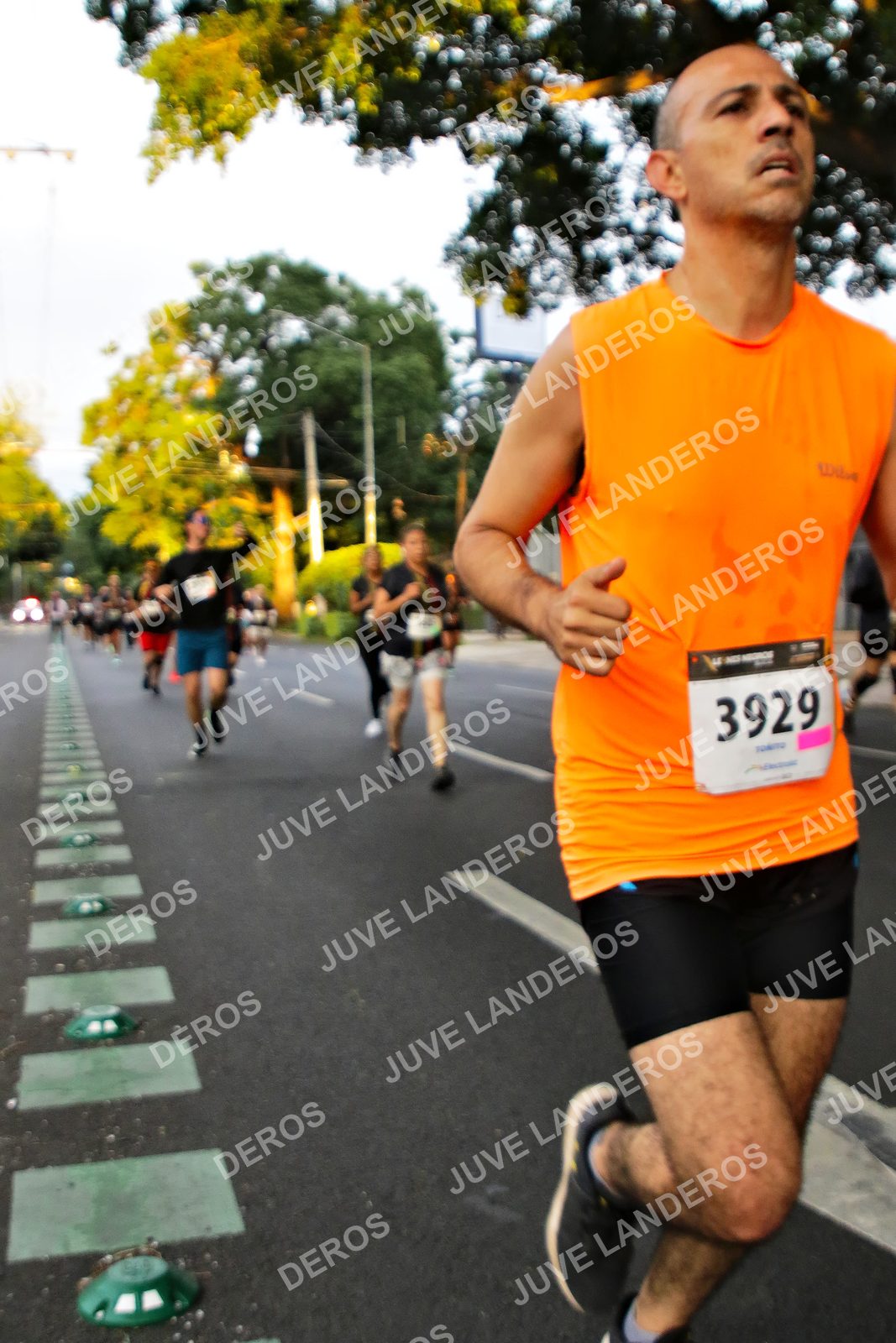 Foto de la X Carrera Leones Negros Red Cola 2026 en Rectoría General de la UdeG, Av. Juárez 976 (meta en Av. Enrique Díaz de León y Pedro Moreno), Guadalajara a las 05:04