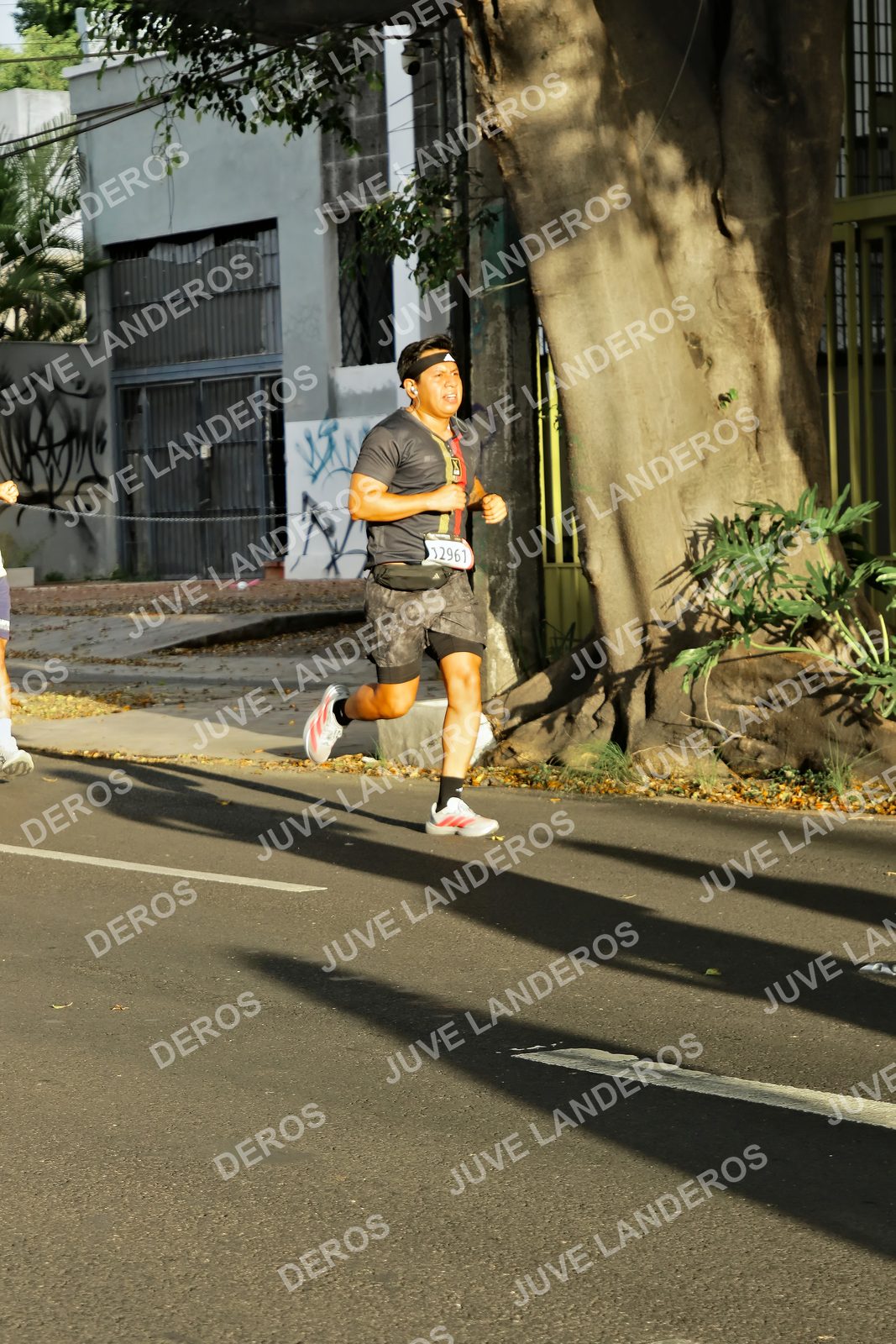 Foto de la X Carrera Leones Negros Red Cola 2026 en Rectoría General de la UdeG, Av. Juárez 976 (meta en Av. Enrique Díaz de León y Pedro Moreno), Guadalajara a las 07:30 · dorsal 12961