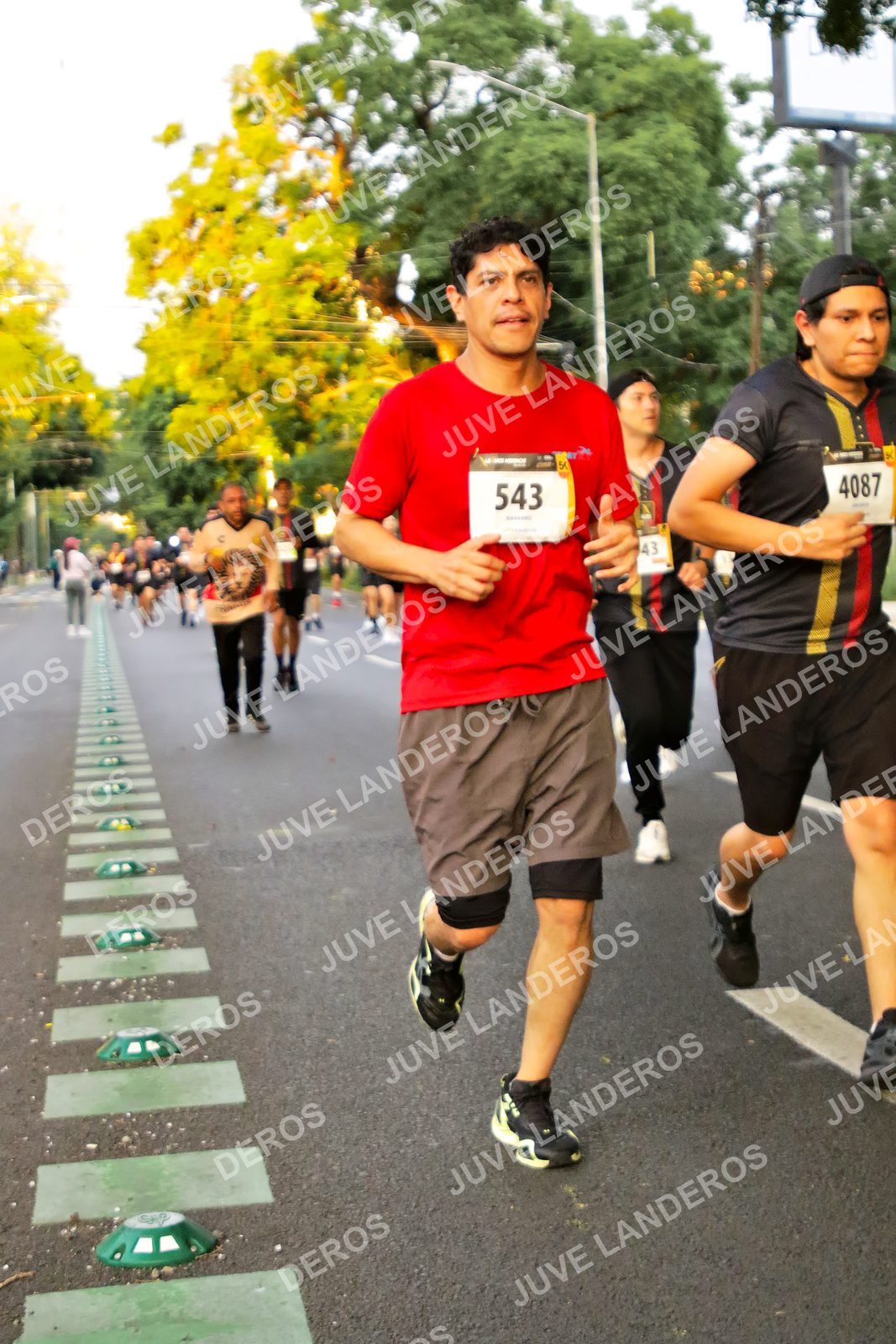 Foto de la X Carrera Leones Negros Red Cola 2026 en Rectoría General de la UdeG, Av. Juárez 976 (meta en Av. Enrique Díaz de León y Pedro Moreno), Guadalajara a las 05:00 · dorsal 543, 4087