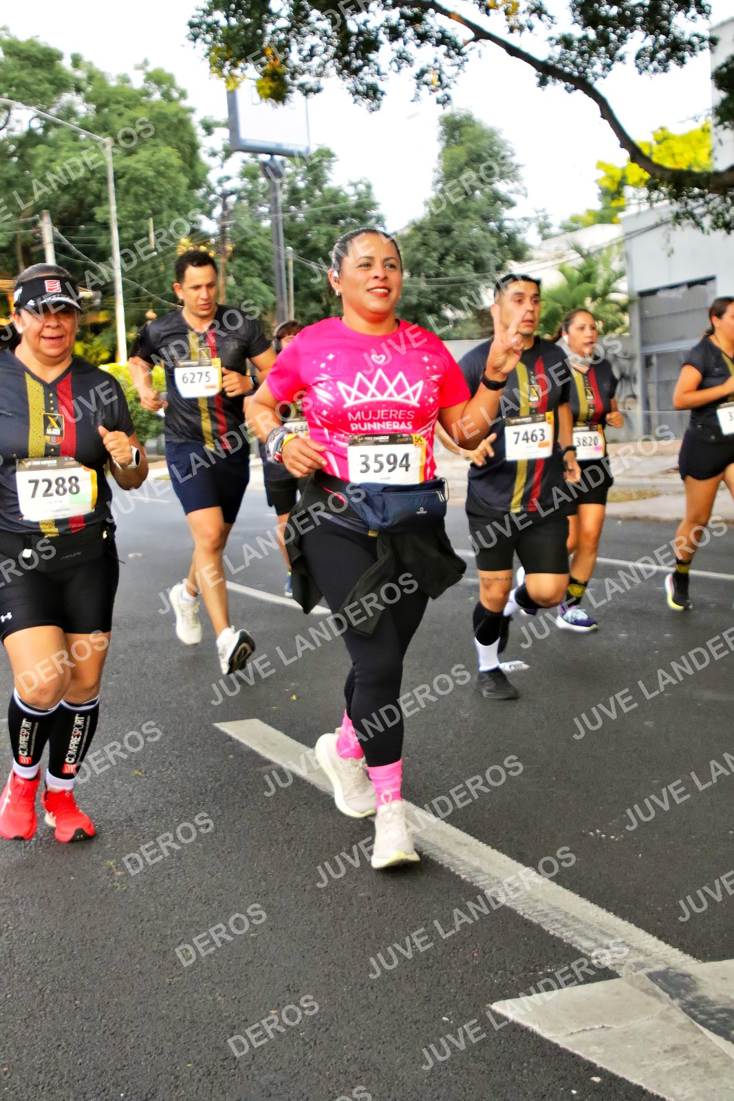 Foto de la X Carrera Leones Negros Red Cola 2026 en Rectoría General de la UdeG, Av. Juárez 976 (meta en Av. Enrique Díaz de León y Pedro Moreno), Guadalajara a las 05:03 · dorsal 3594, 7288, 7463, 6275