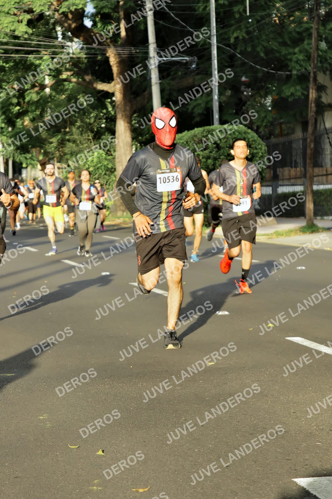 Foto de la X Carrera Leones Negros Red Cola 2026 en Rectoría General de la UdeG, Av. Juárez 976 (meta en Av. Enrique Díaz de León y Pedro Moreno), Guadalajara a las 07:38 · dorsal 10536